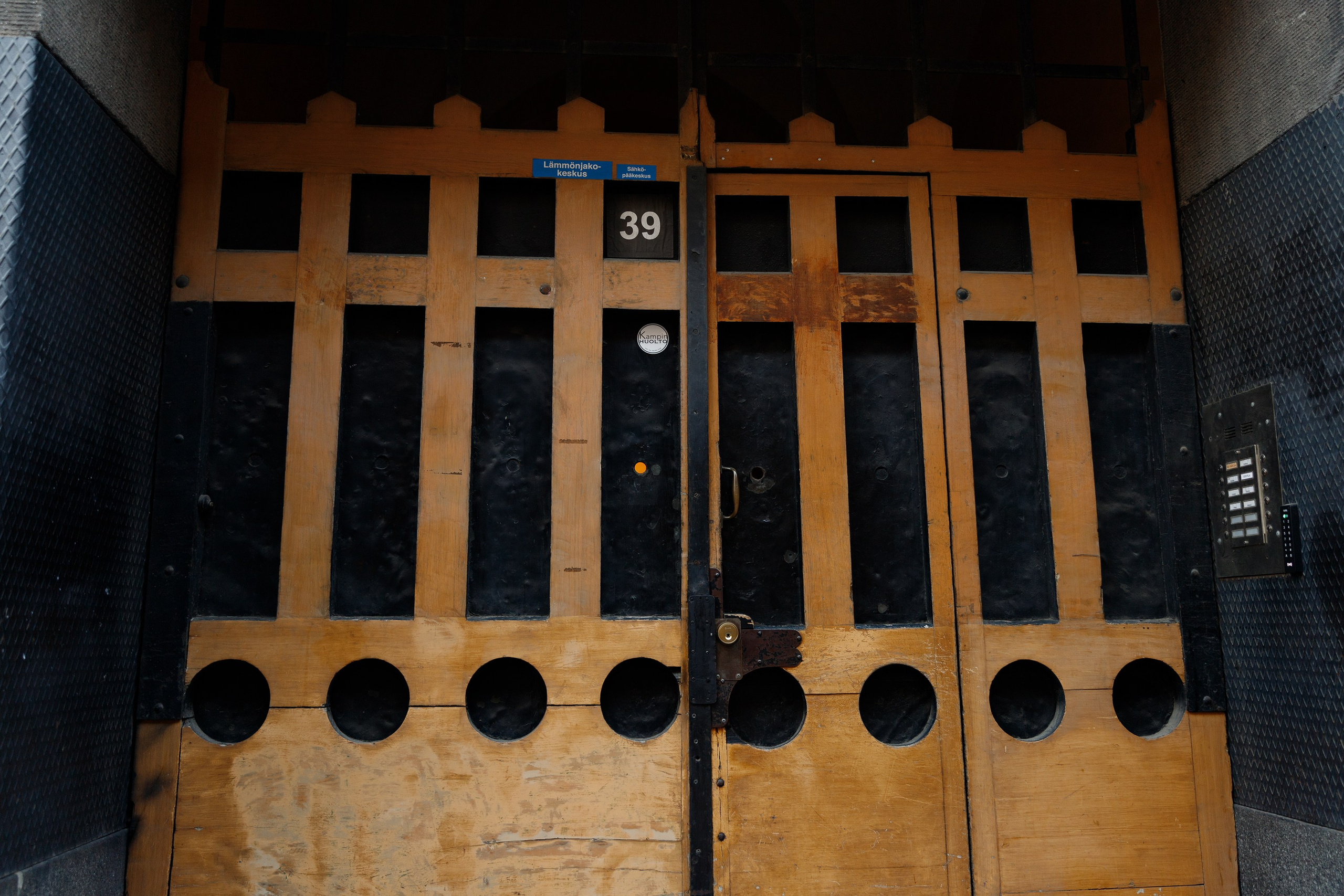 Helsinki. Kaja | fotograf psów we Wrocławiu