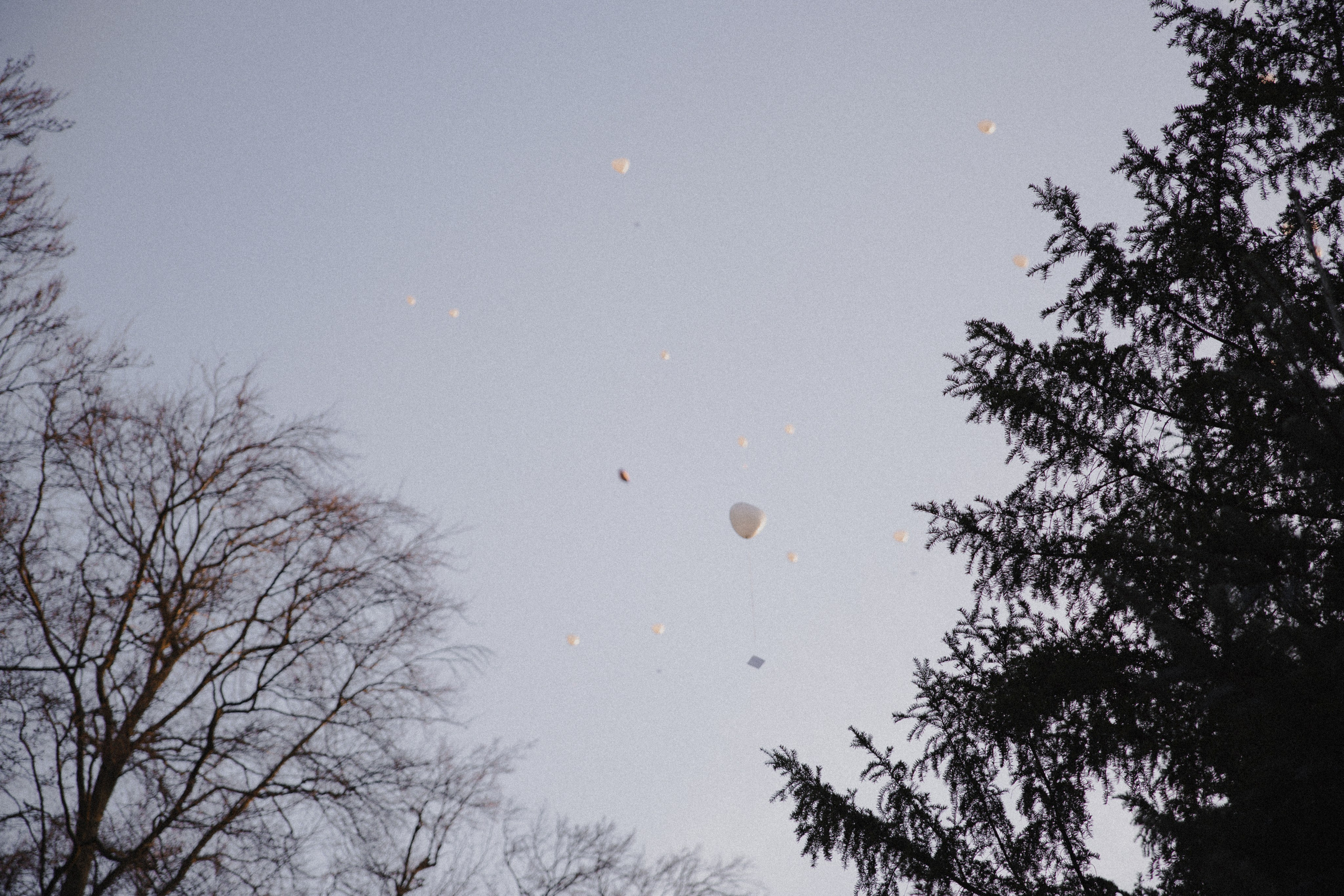 Morena & Niklas I Haus Hohenstein. Hochzeitsfotografin Bochum | Halyna Reiche Fotografie NRW