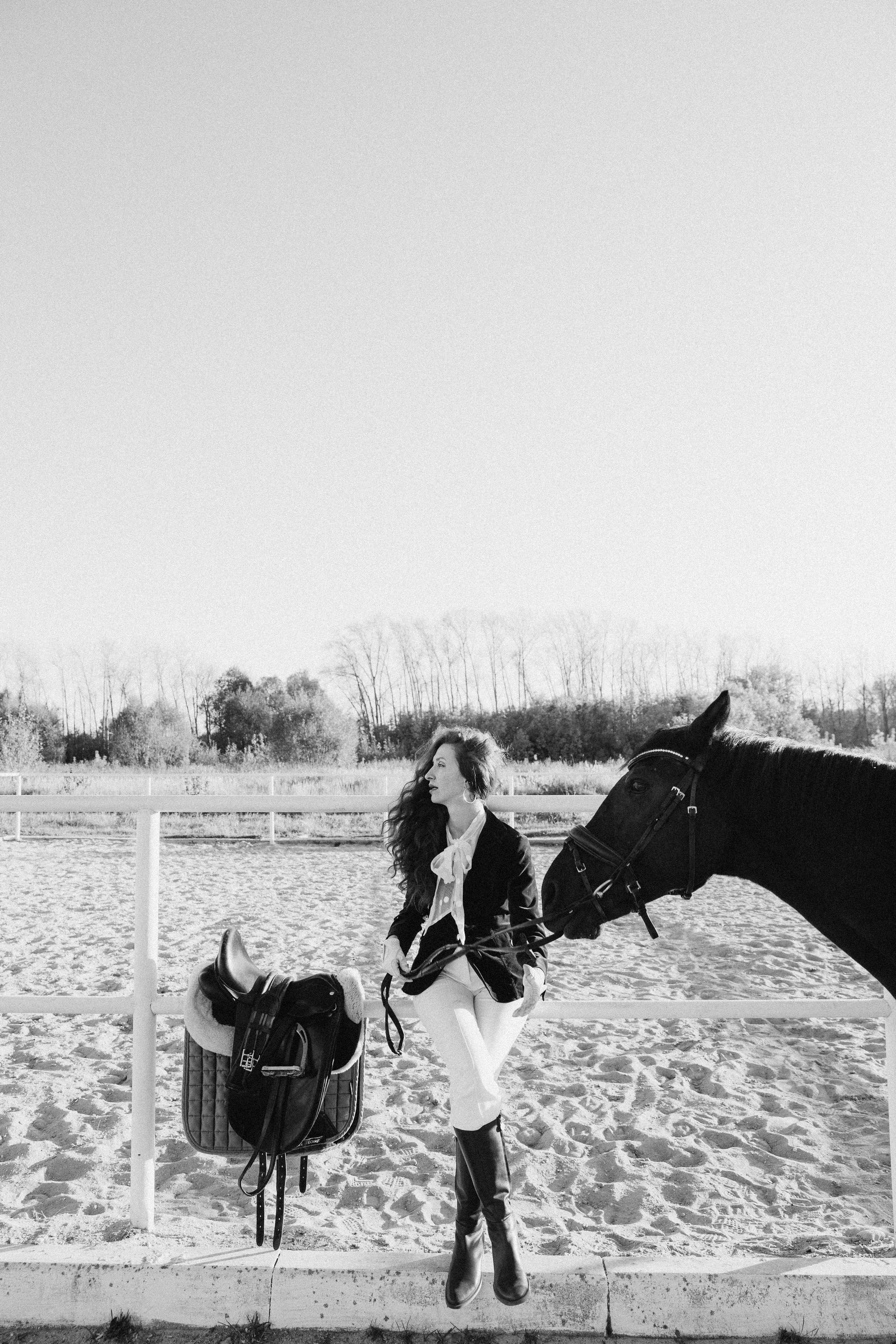Horse & Rider Photoshoots in Boston & New England