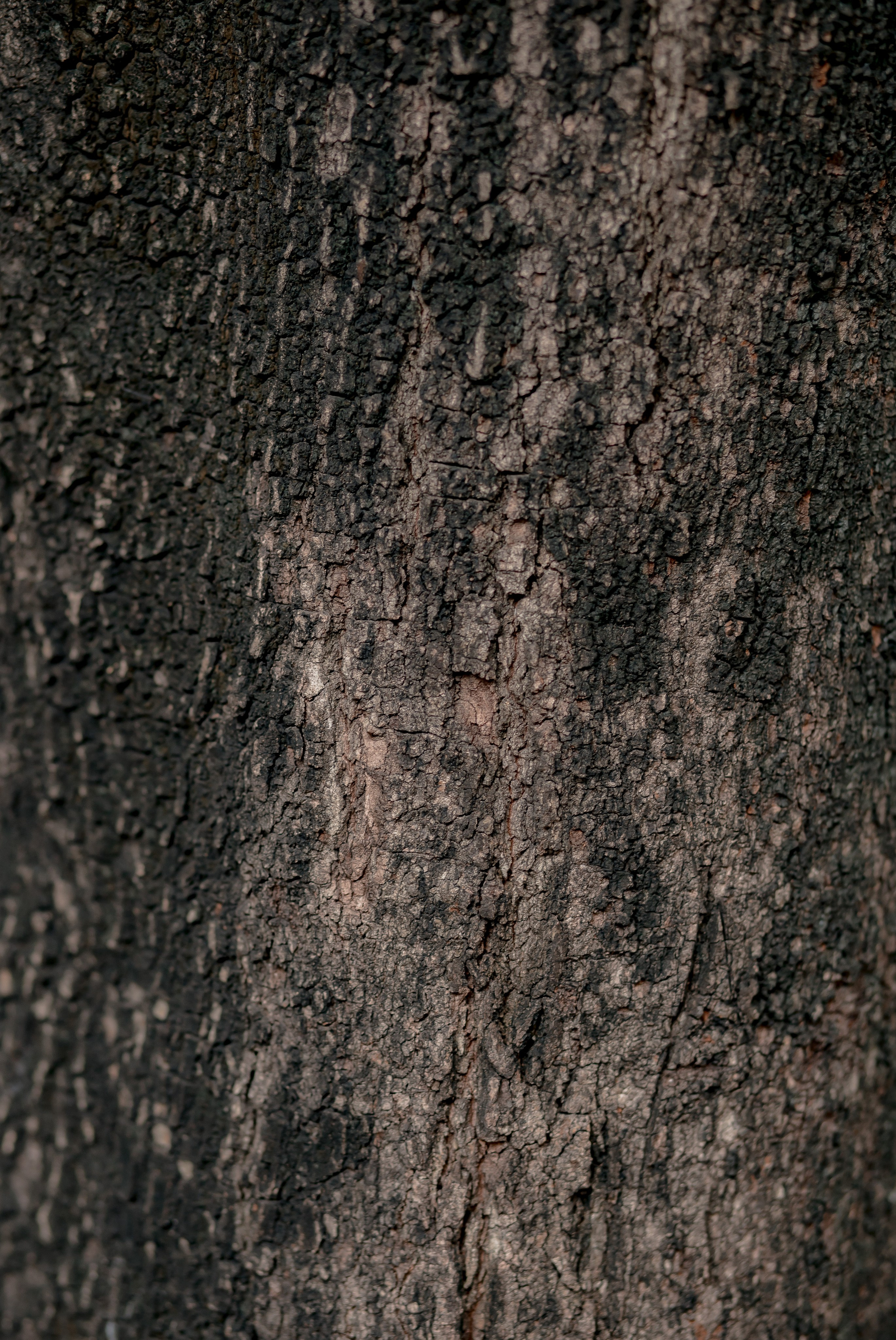 Ho Chi Minh, Vietnam | Part 1| 2025. HOME