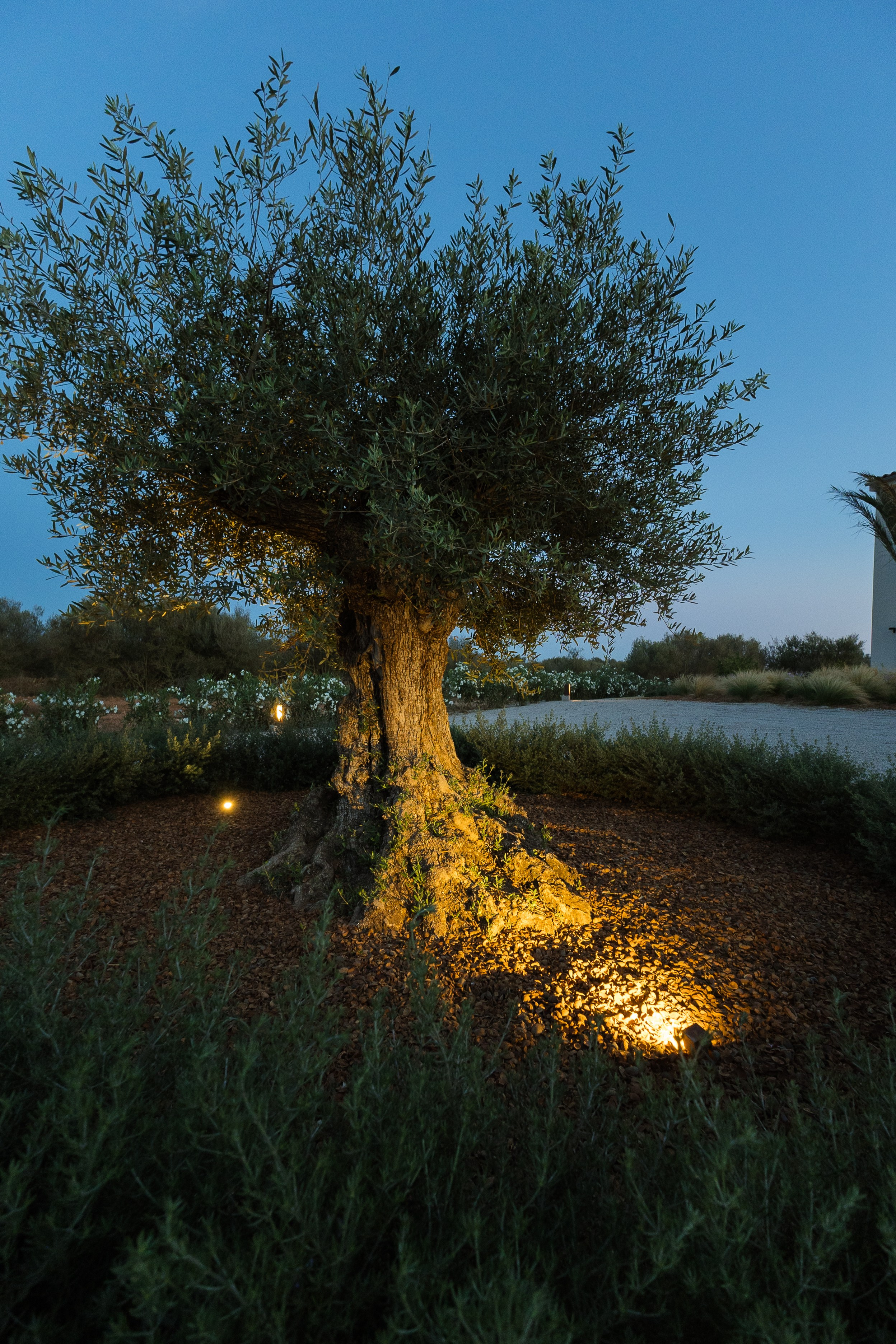 Immobilien - Finca Mallorca - Ses Salines. Viktoria Motte Fotografie Event-, Business- und Porträtfotografie Stuttgart | Mallorca