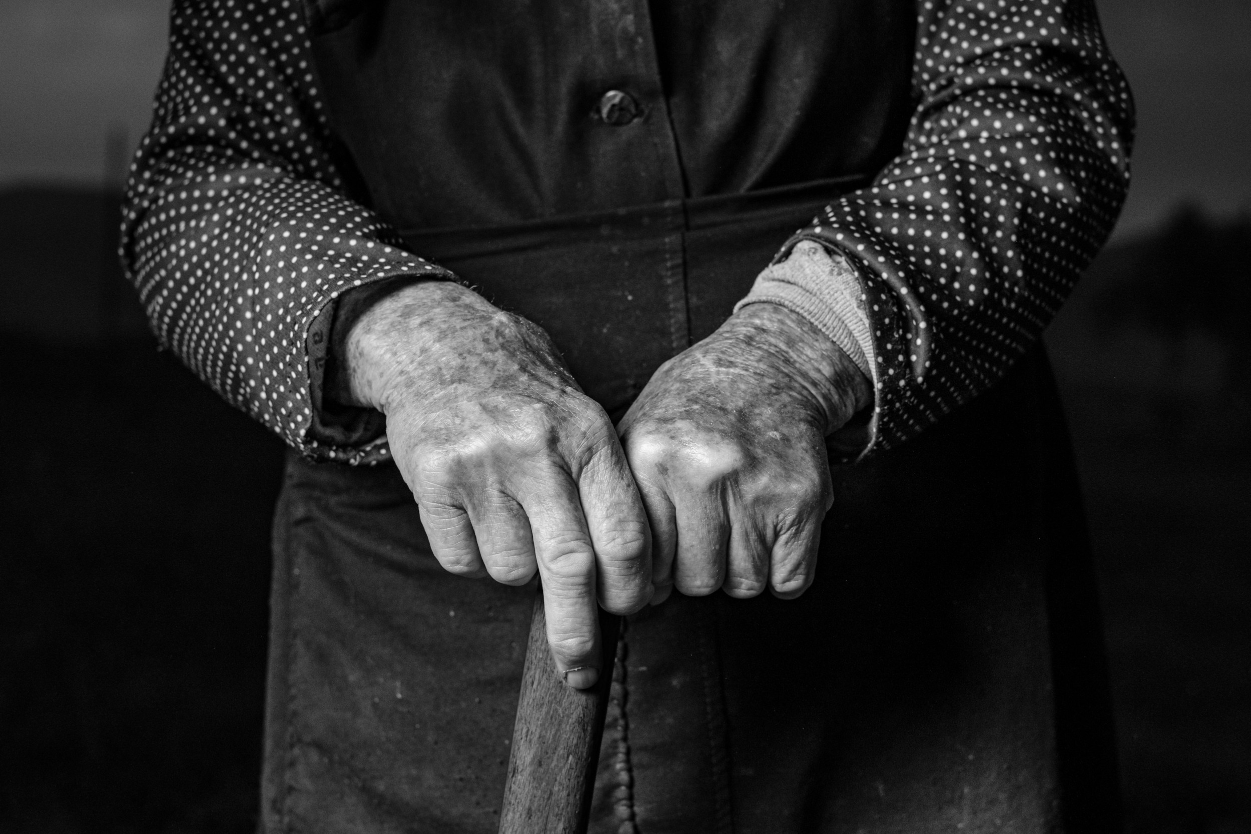 EARTH & SONG Vardablur, 2025. Areg Balayan — Photographer/Visual Artist