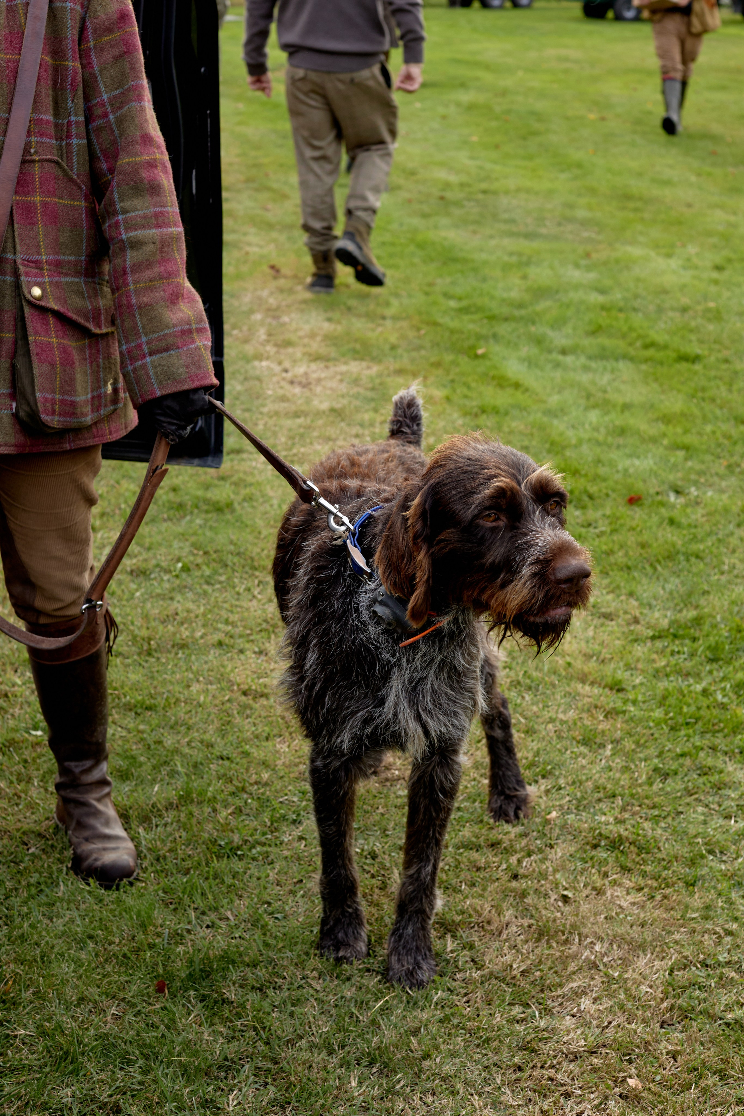 Hunting in France. Amazing photo session at a time convenient for you. Y