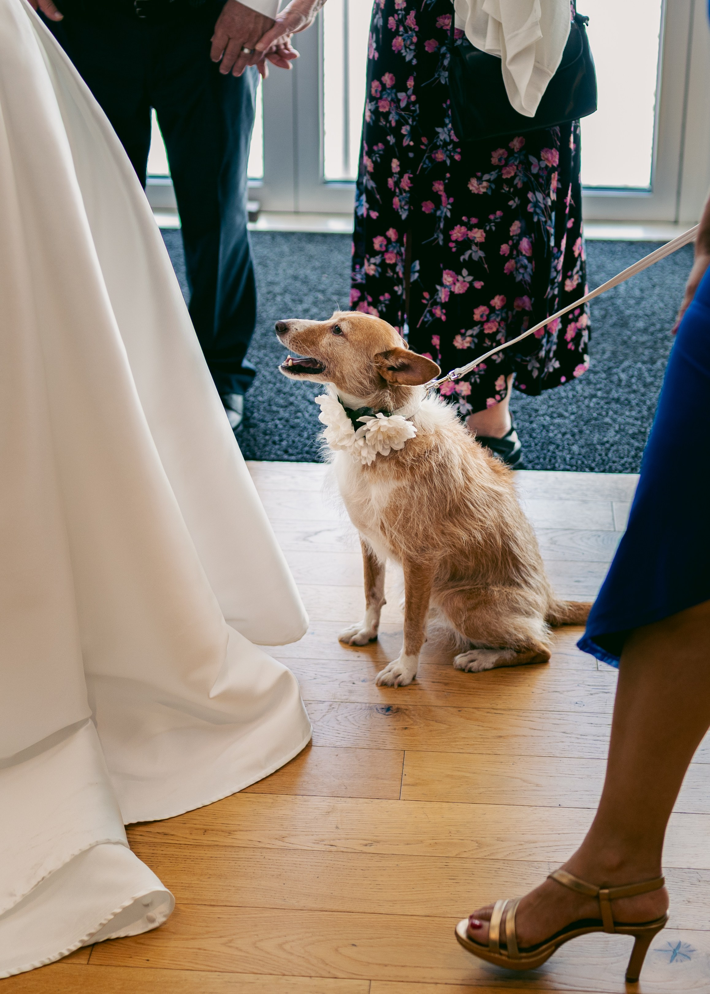 Mariage d’été. Photographe à Genève - Eugenia Andres