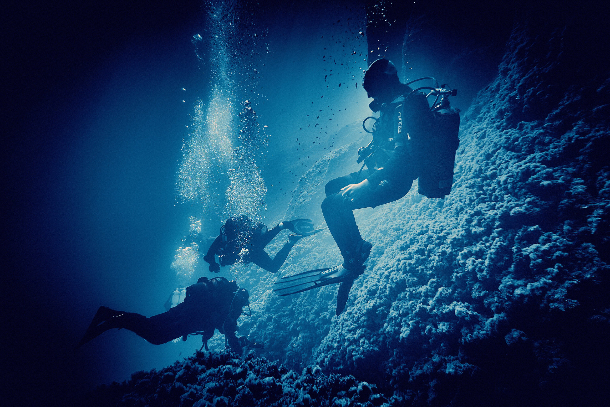 Fotograf podwodny Andriej Szypiłow. Андрей Шипилов — Фотография & Видеография