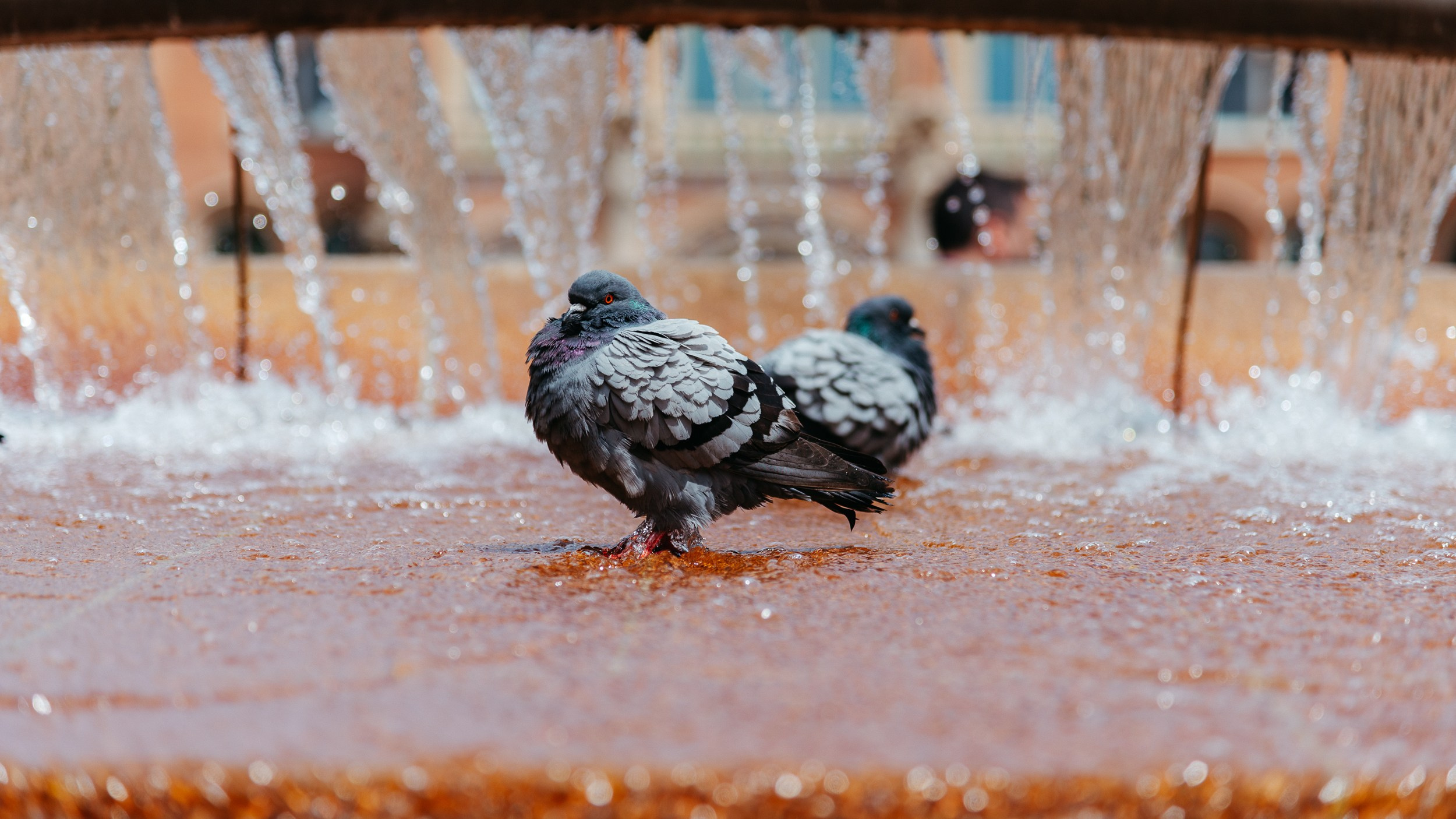 Barcelona. Marius Ciocan