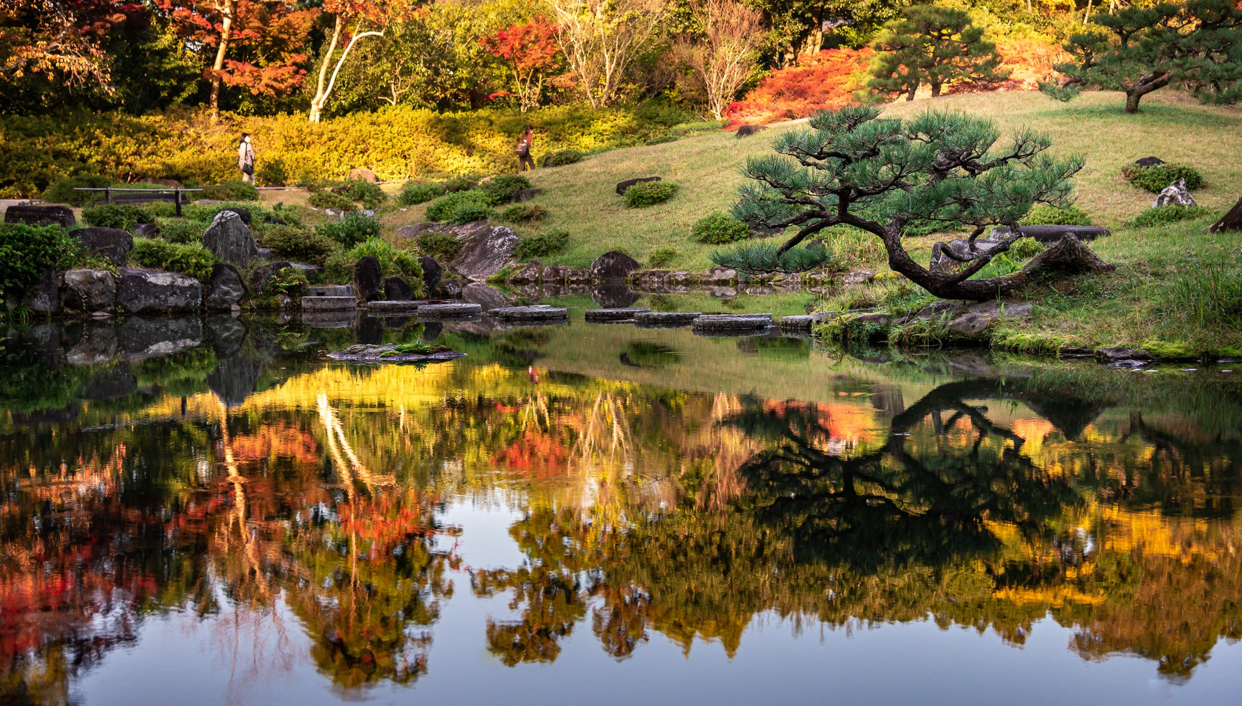 Japan. Marius Ciocan