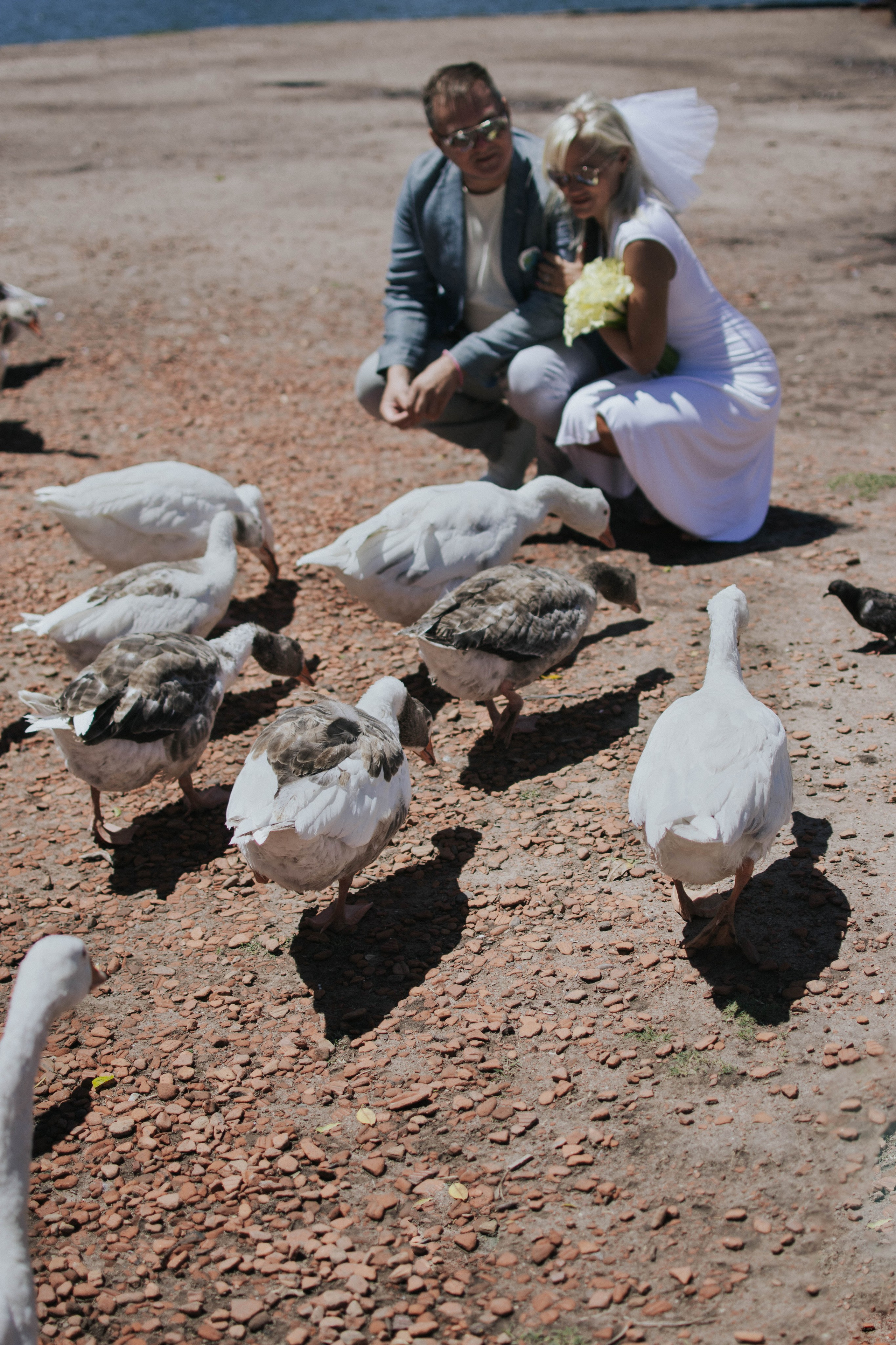 Wedding. Reportage shoots in Buenos Aires. Photographer @elmirkami in the city of Buenos Aires