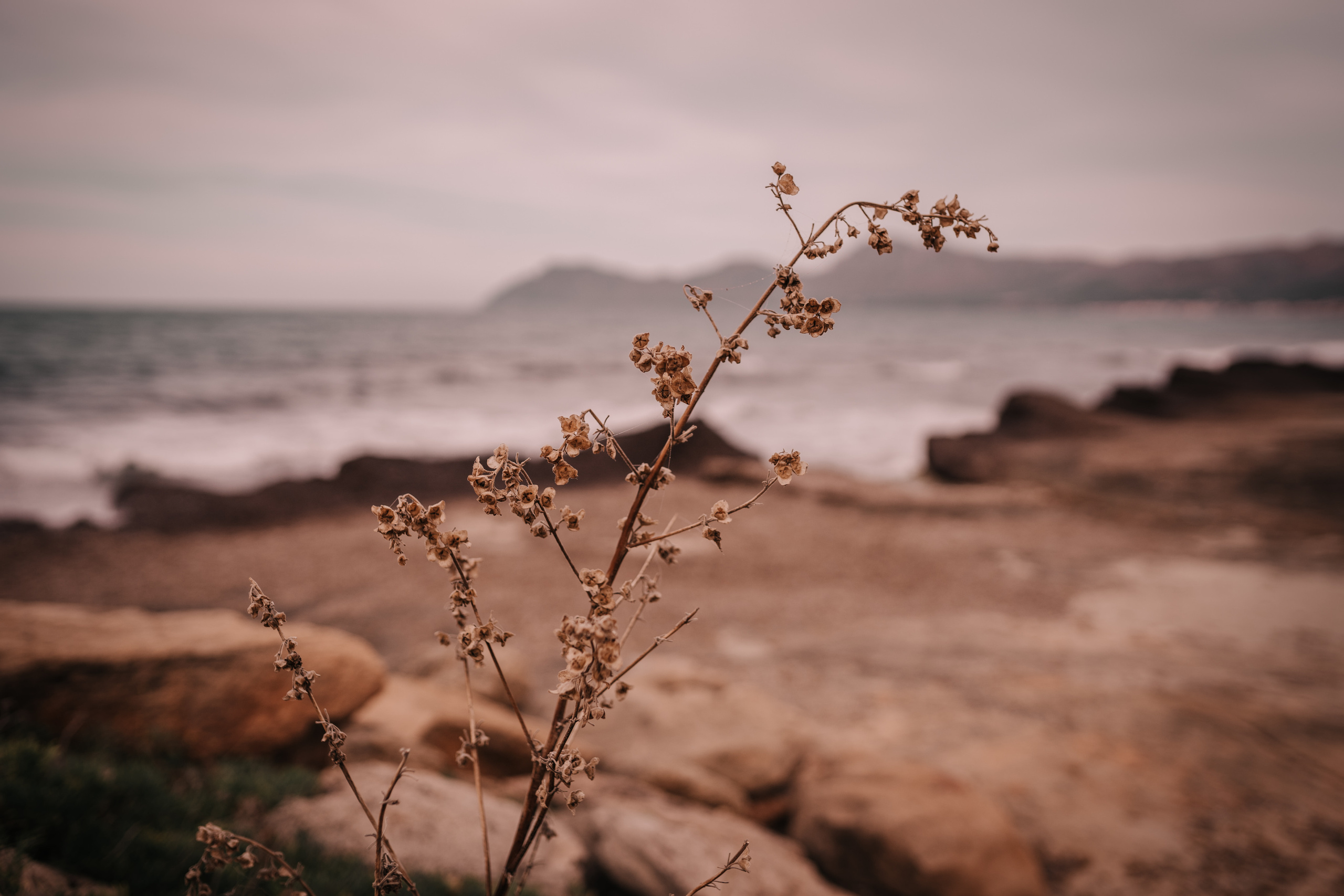 HAVING FUN ON THE BEACH. SPLASH Fotógrafo de bodas y familias en Palma de Mallorca | Mauricio Alcibar
