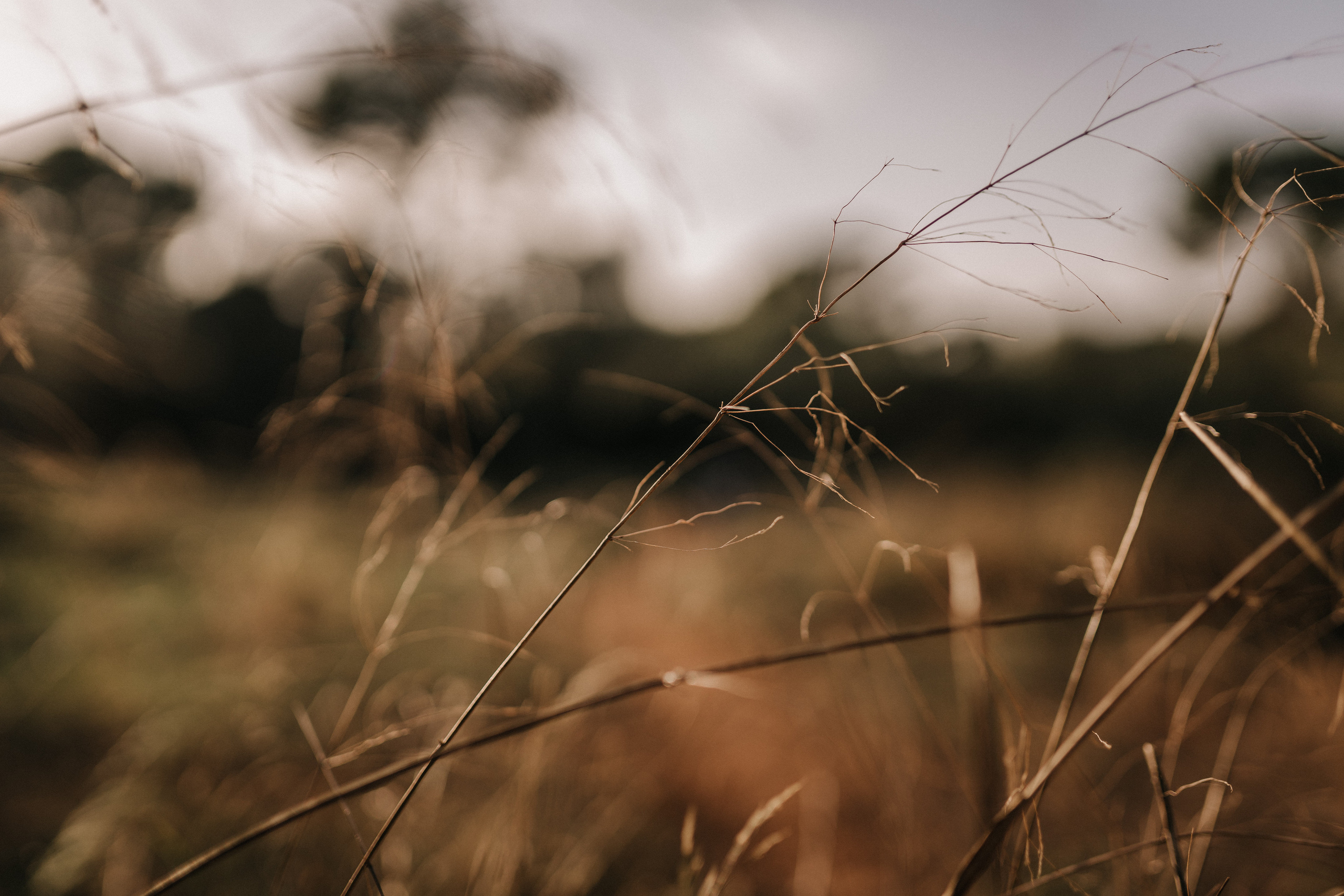 ALBA. Mauricio Alcibar – Fotógrafo de bodas y familias en Palma de Mallorca