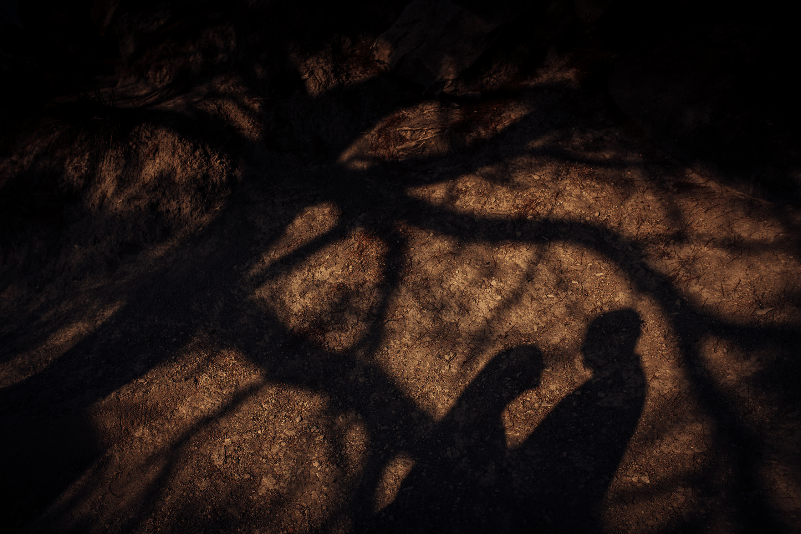 LORENA & ALEX. Mauricio Alcibar – Fotógrafo de bodas y familias en Palma de Mallorca