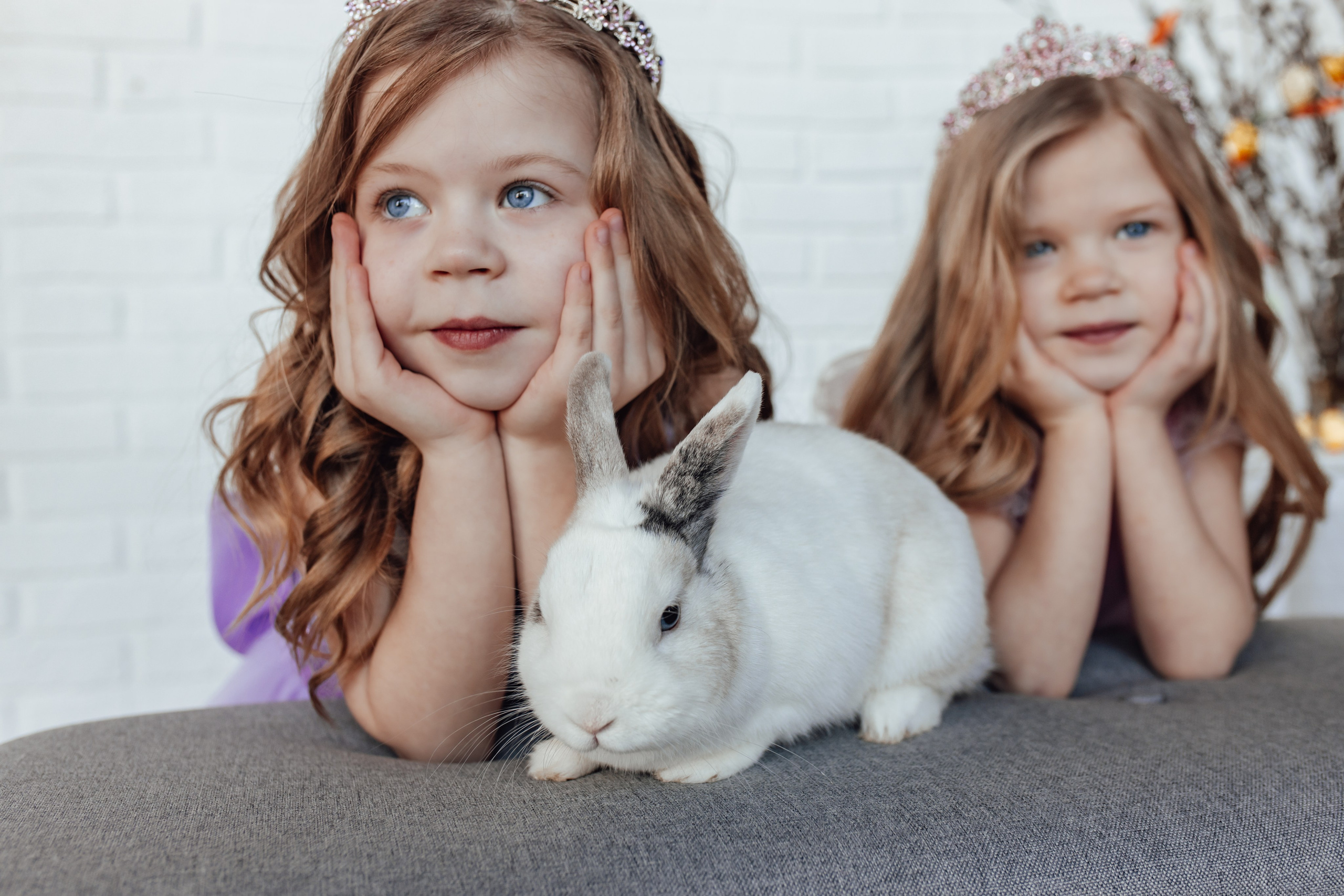 Zaķīši un kaķīši