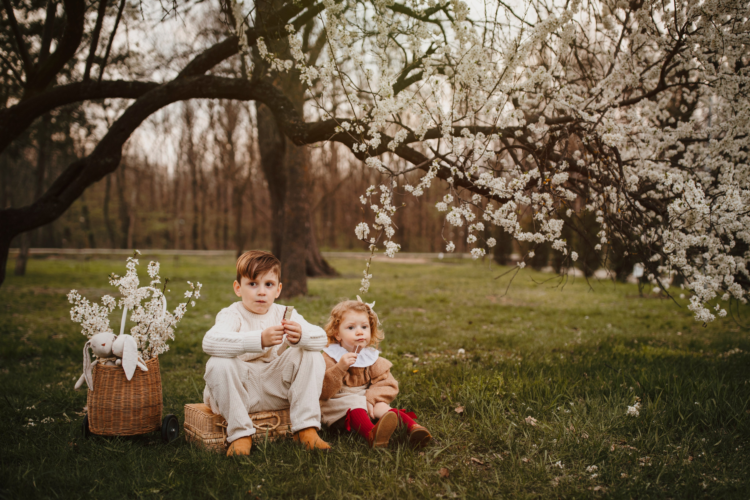 Sofia & Darius. Fotograf de eveniment din Buzău | Bogdan