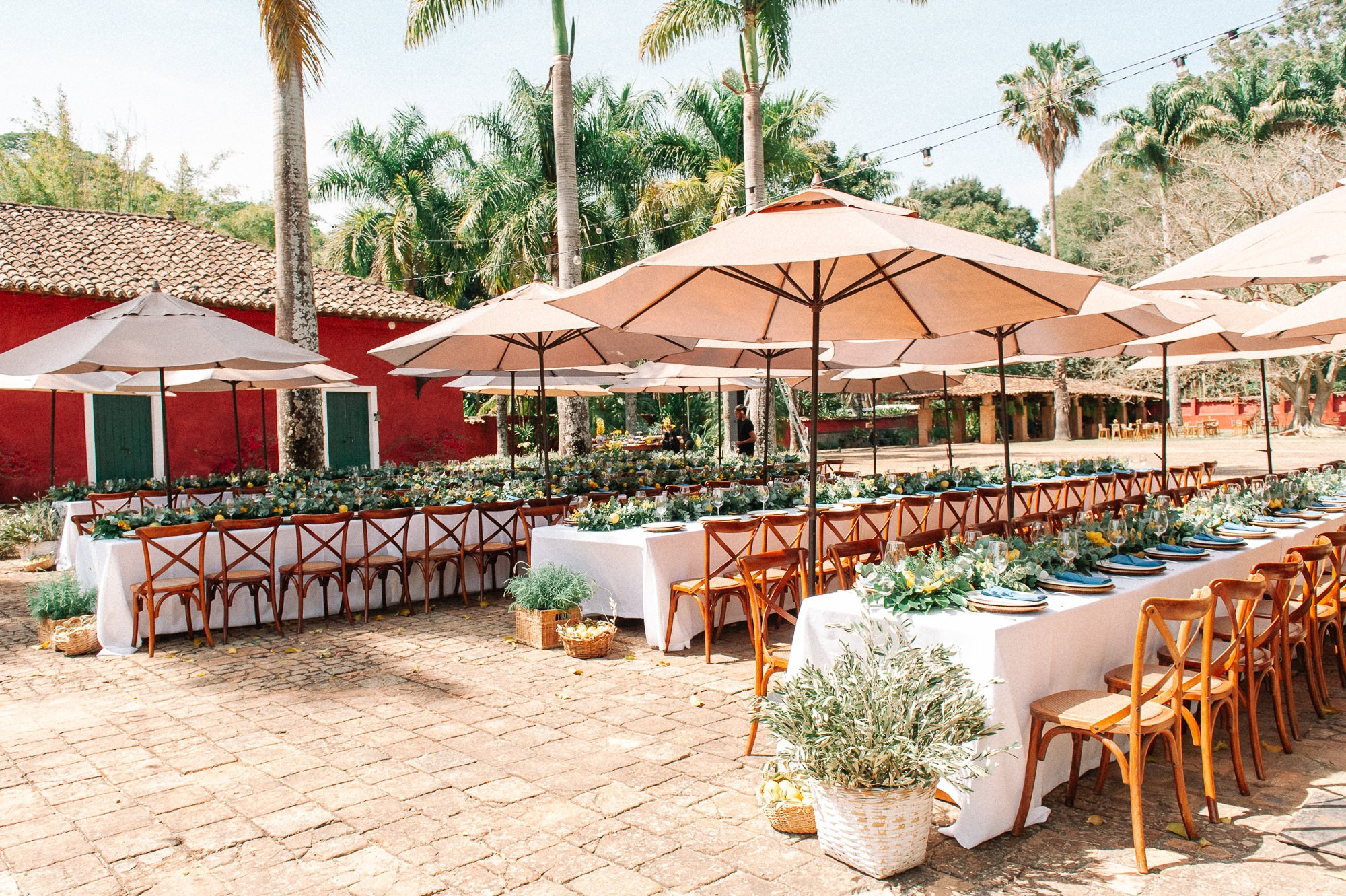 Clara e Arthur — Fazenda das Cabras