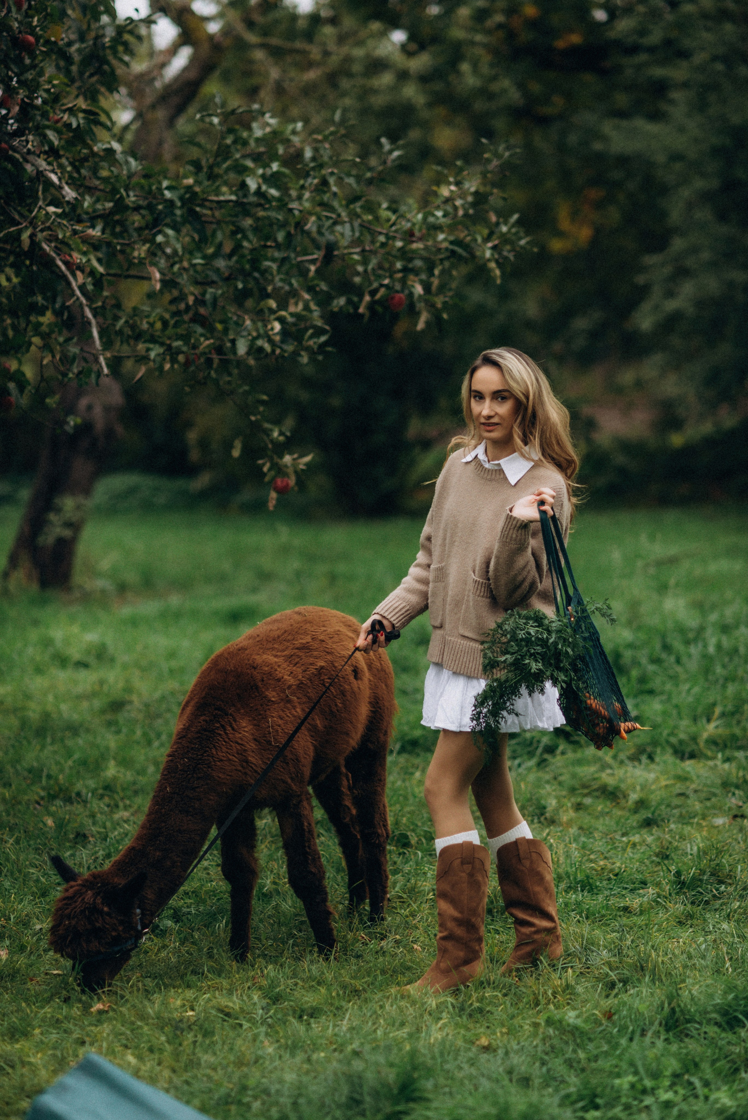 Семейная фотосессия с альпаками. Семейный фотограф Лейпциг, Германия
