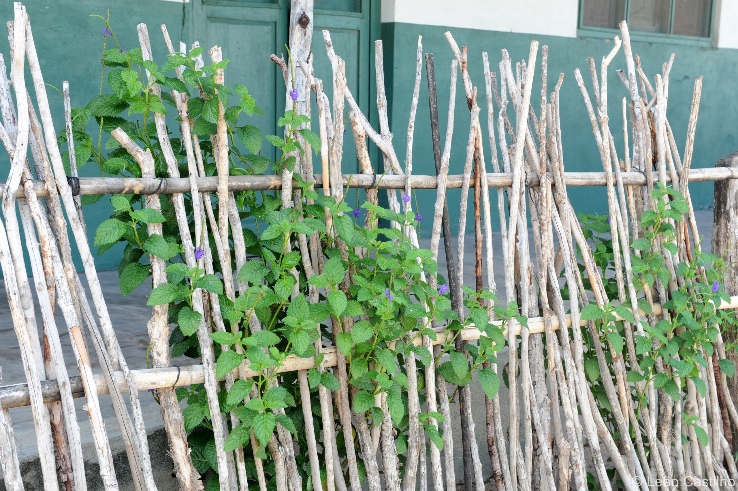 Photos from Mozambique. Simbahalu