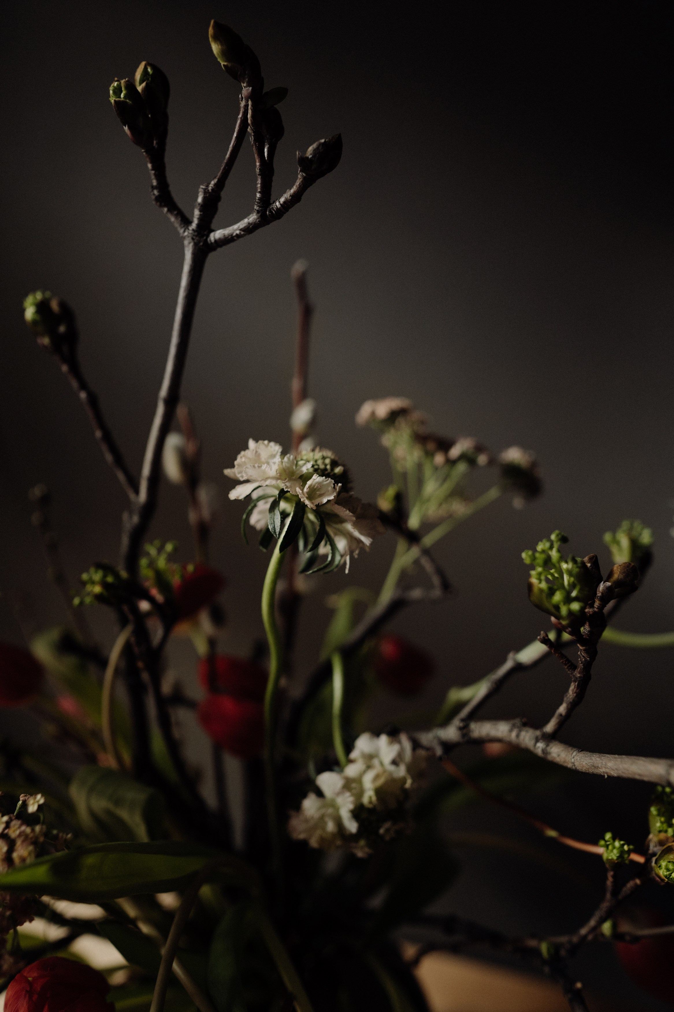 Elena. Фотограф в Праге Анна Лебедева