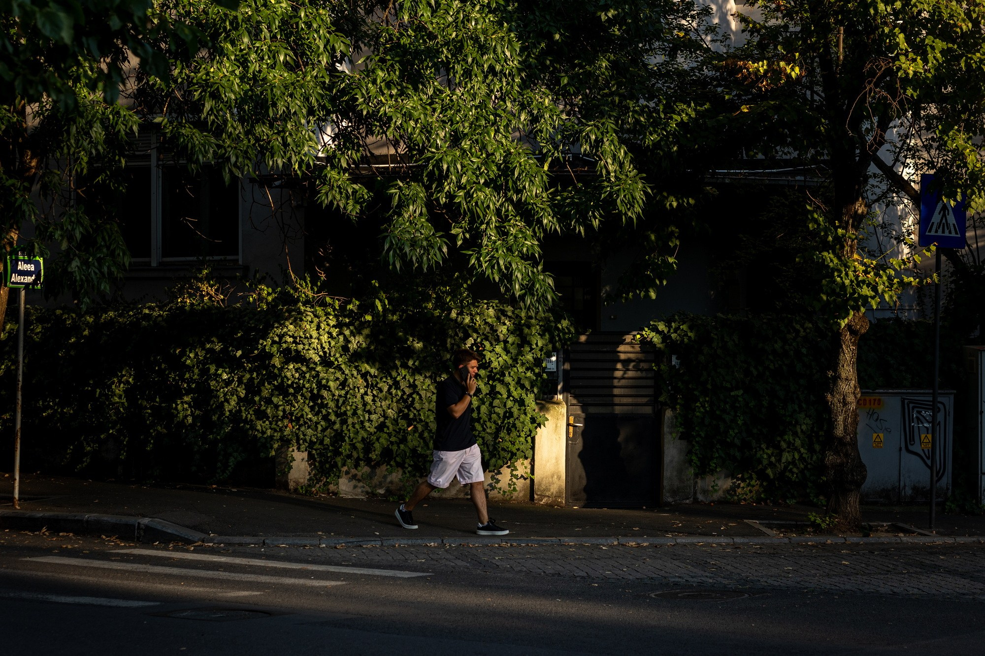 Urban Wander. A Creative Insight | Catalin Nastase