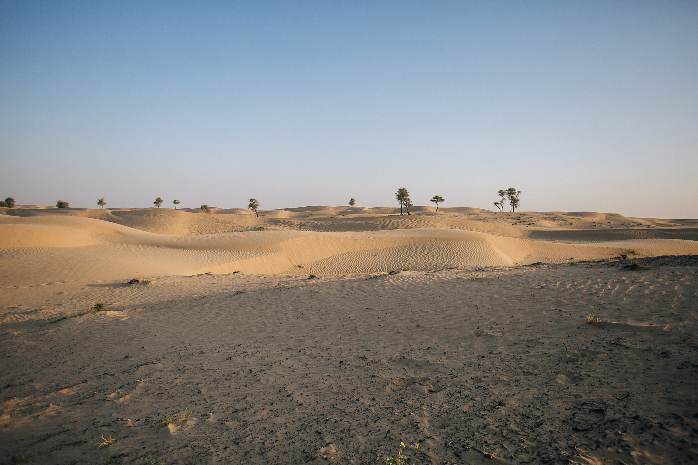 Anna. Pregnancy. Портретний та весільний фотограф Надія Онода