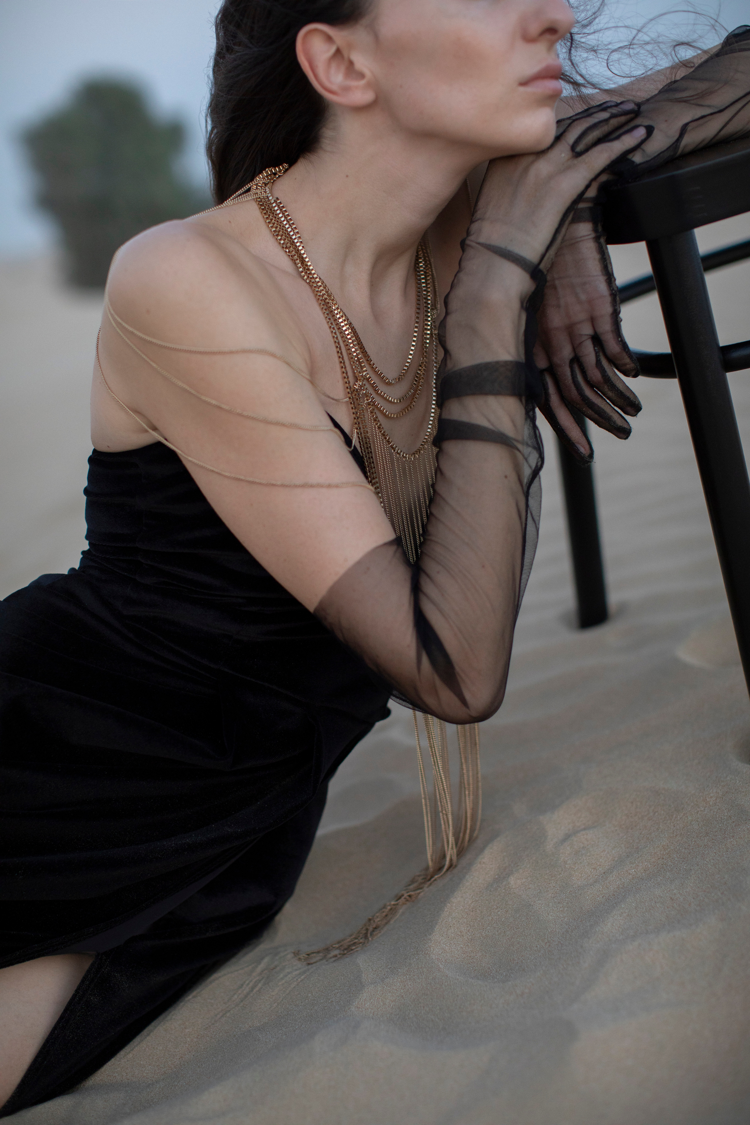 Lost in the desert. Main