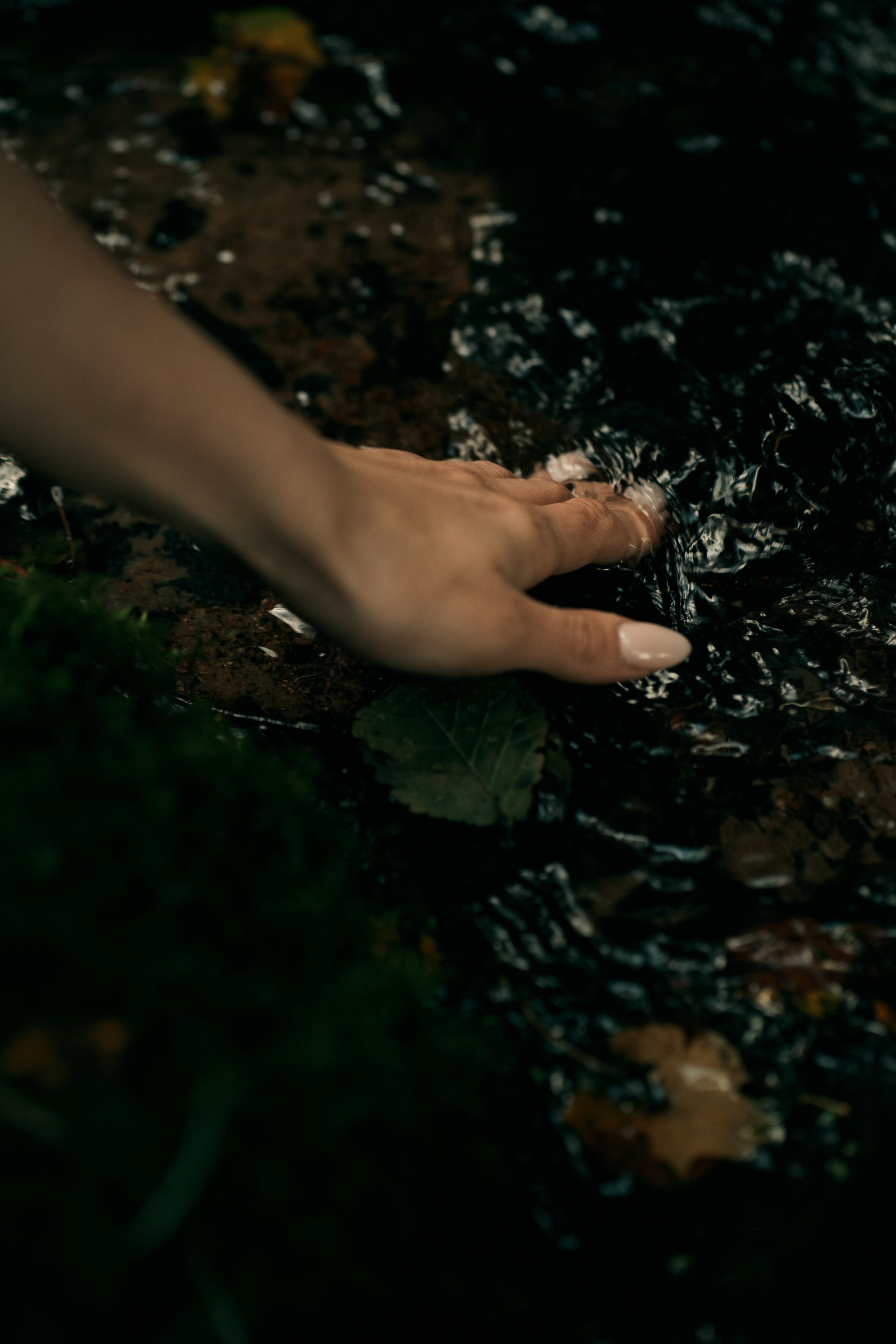 Botanikos sode. Fotografija — Olga Bojarin