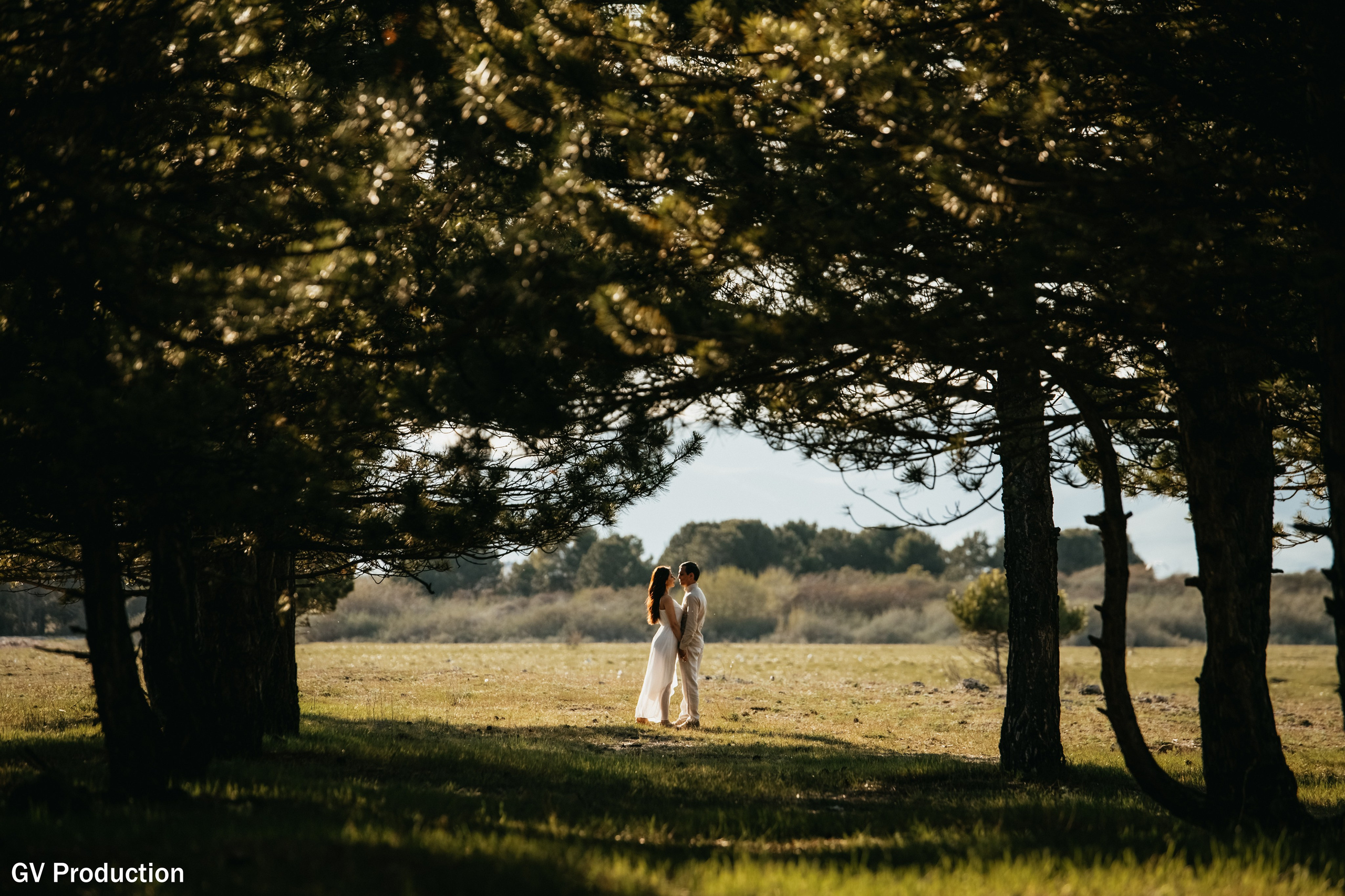 Arthur & Narine (pre Wedding). Wedding photos and video shooting in Armenia and all over the world!!! Photographer in Yerevan