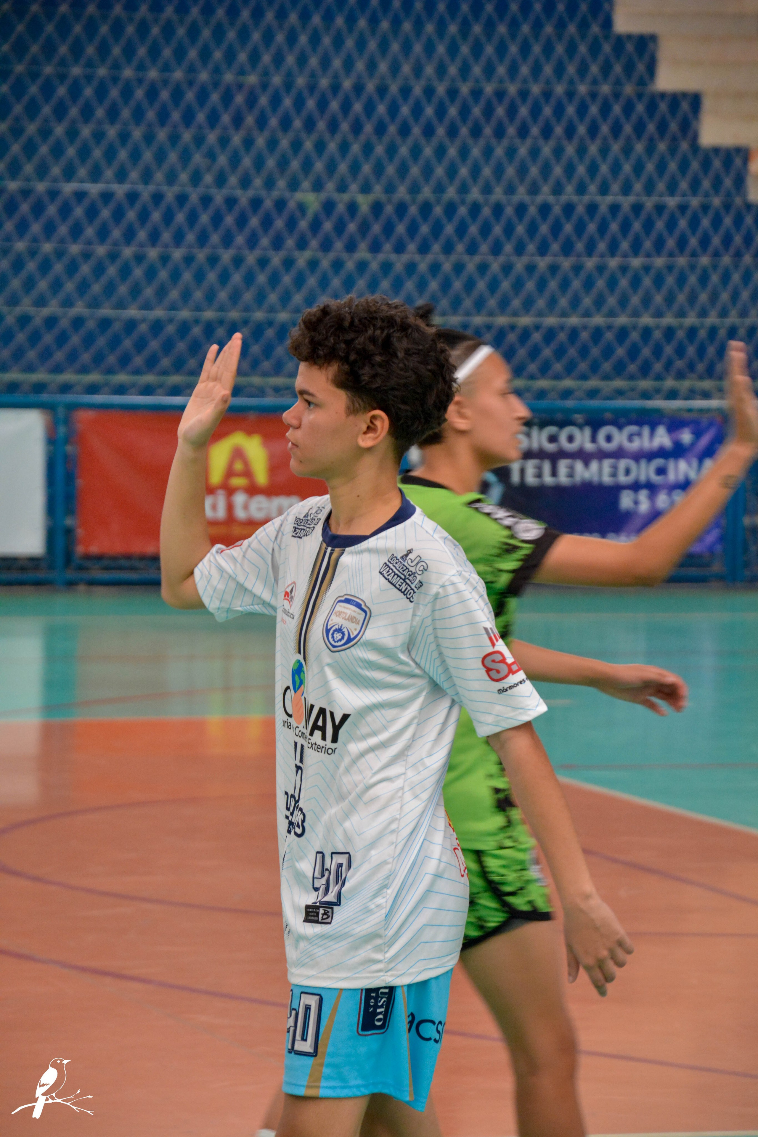 Sub 18 (Victor savala). AerobirdStudios