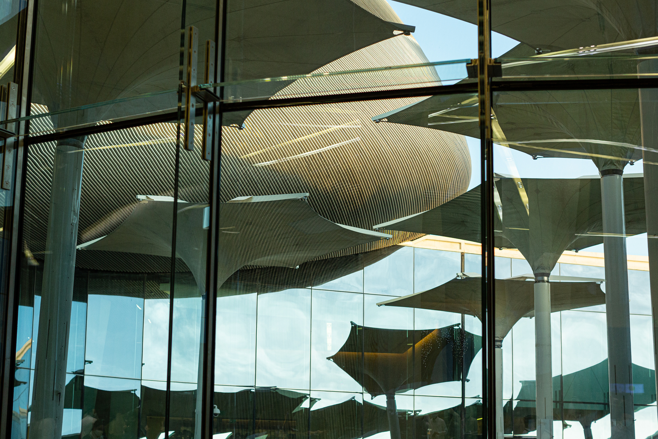 After curflew. Документальный фотограф, междисциплинарный художник