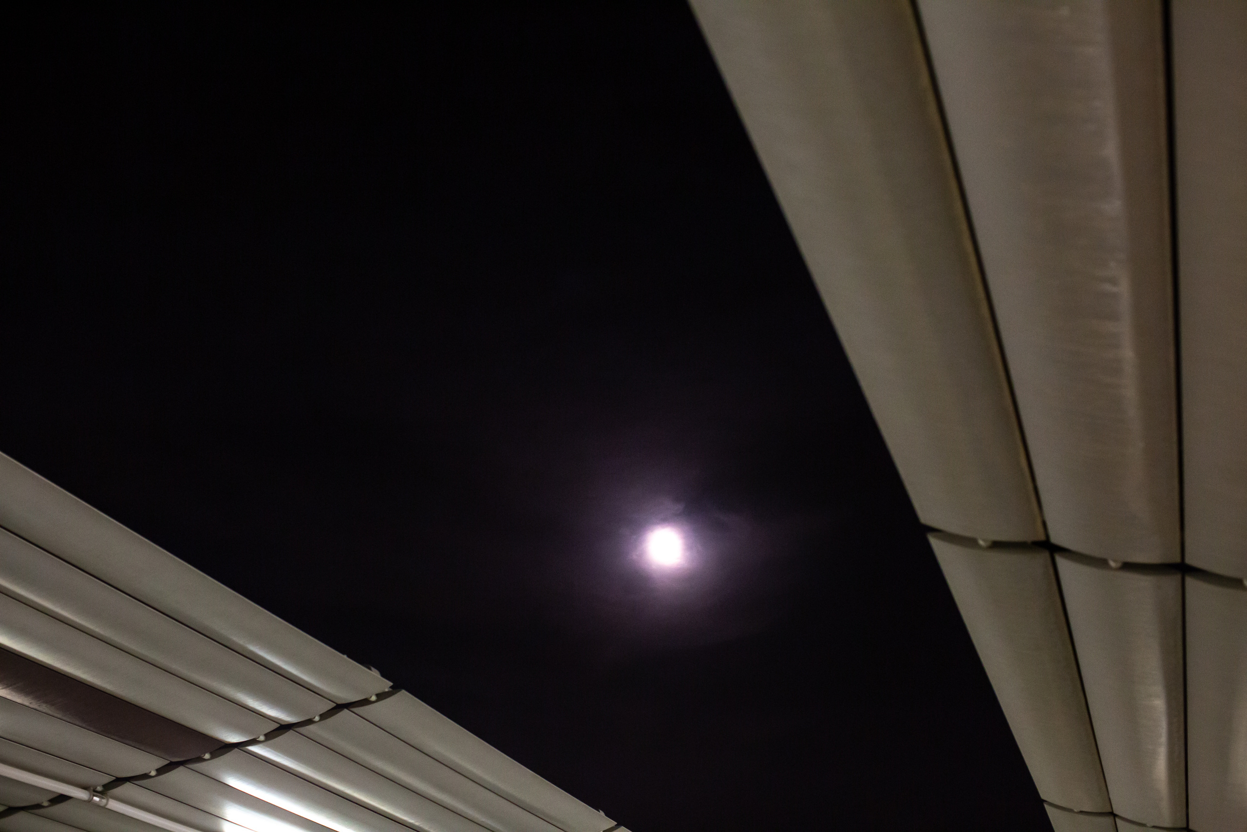 After curflew. Документальный фотограф, междисциплинарный художник