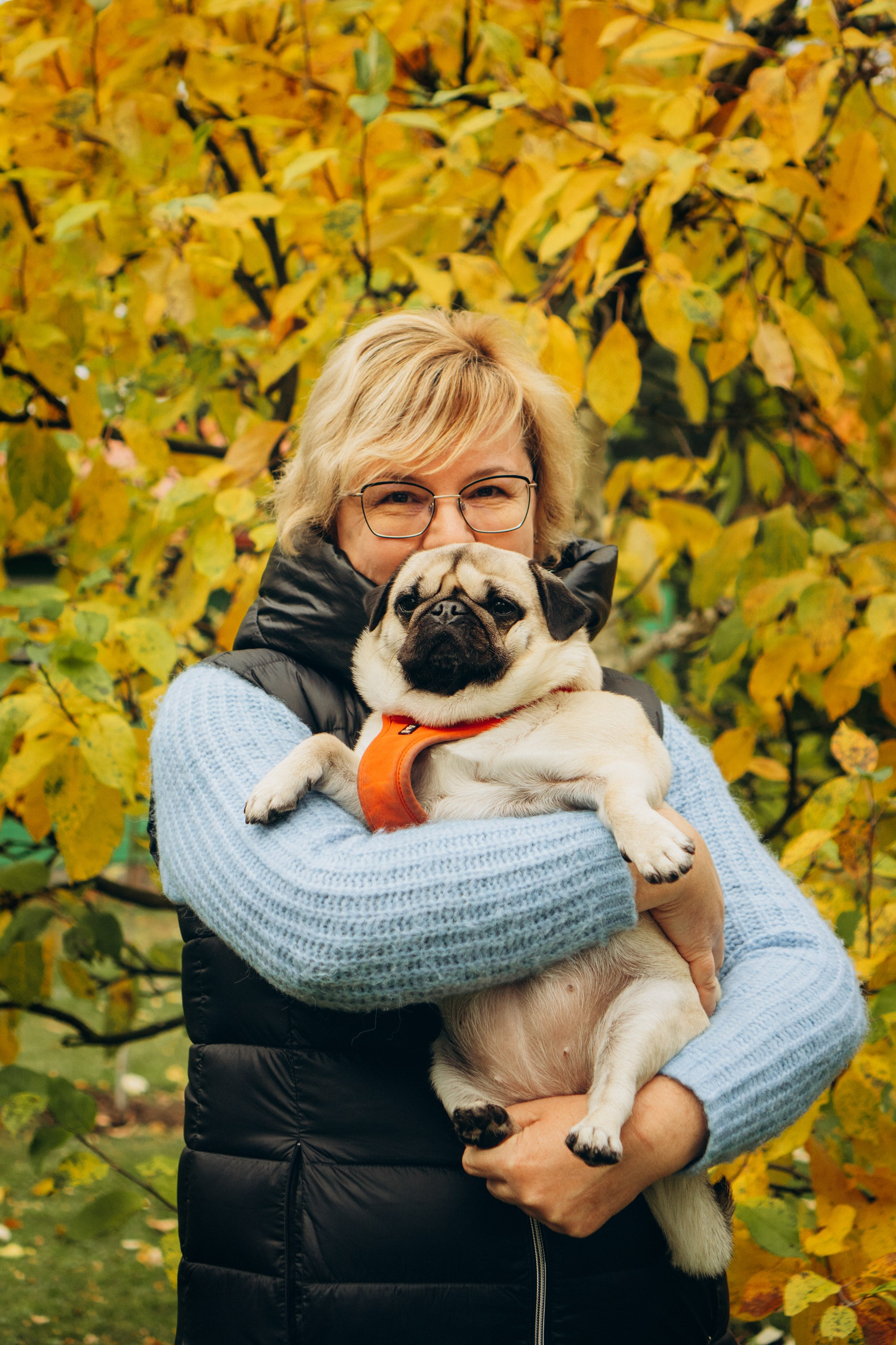 Jelena and her Sandy, Pug and Katja and her Safiir, Cardigan Welsh Corgi. Kat Laisaar — Pet photographer in Tallinn
