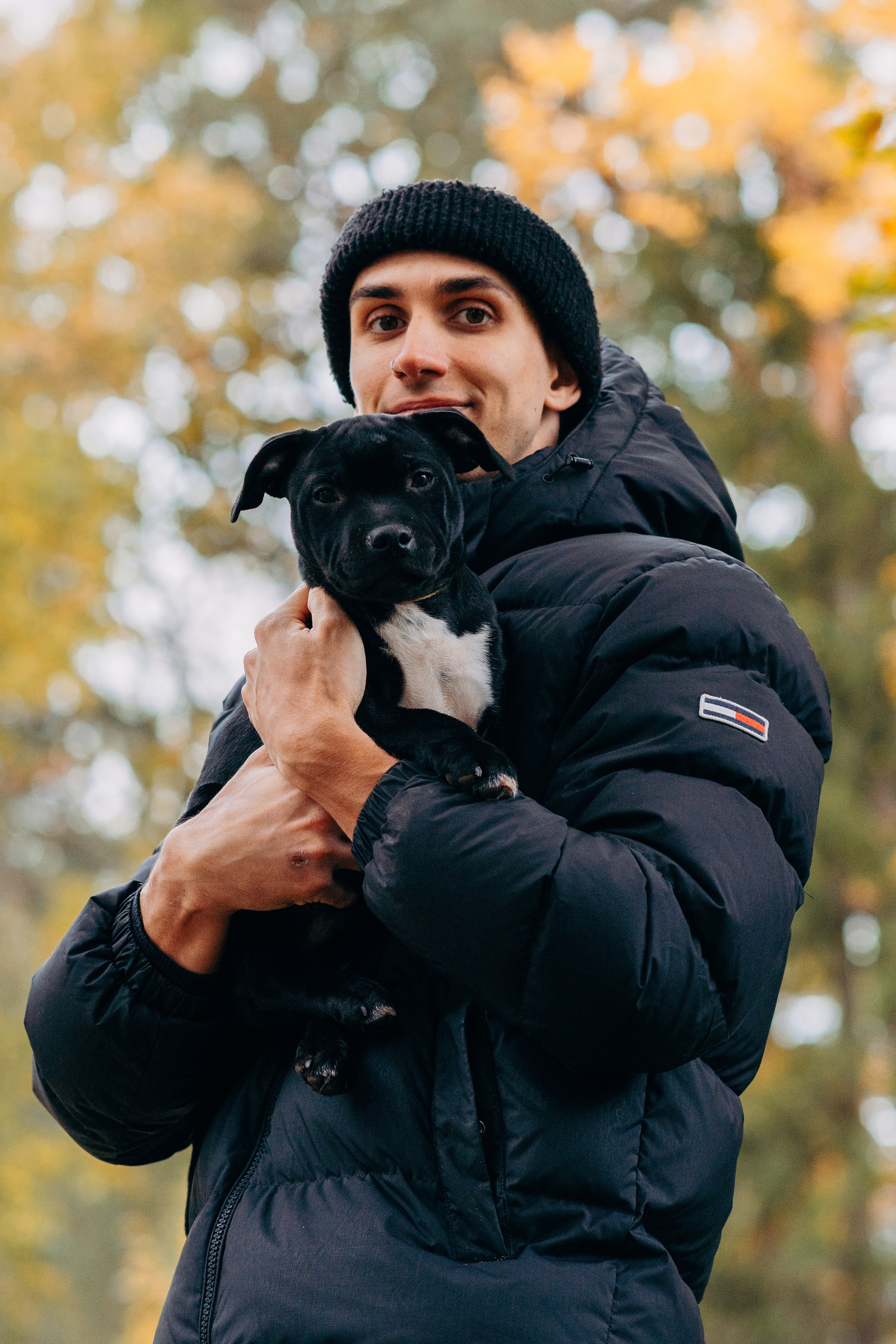 Staffordshire Bull Terriers Meetup. Kat Laisaar — Pet photographer in Tallinn