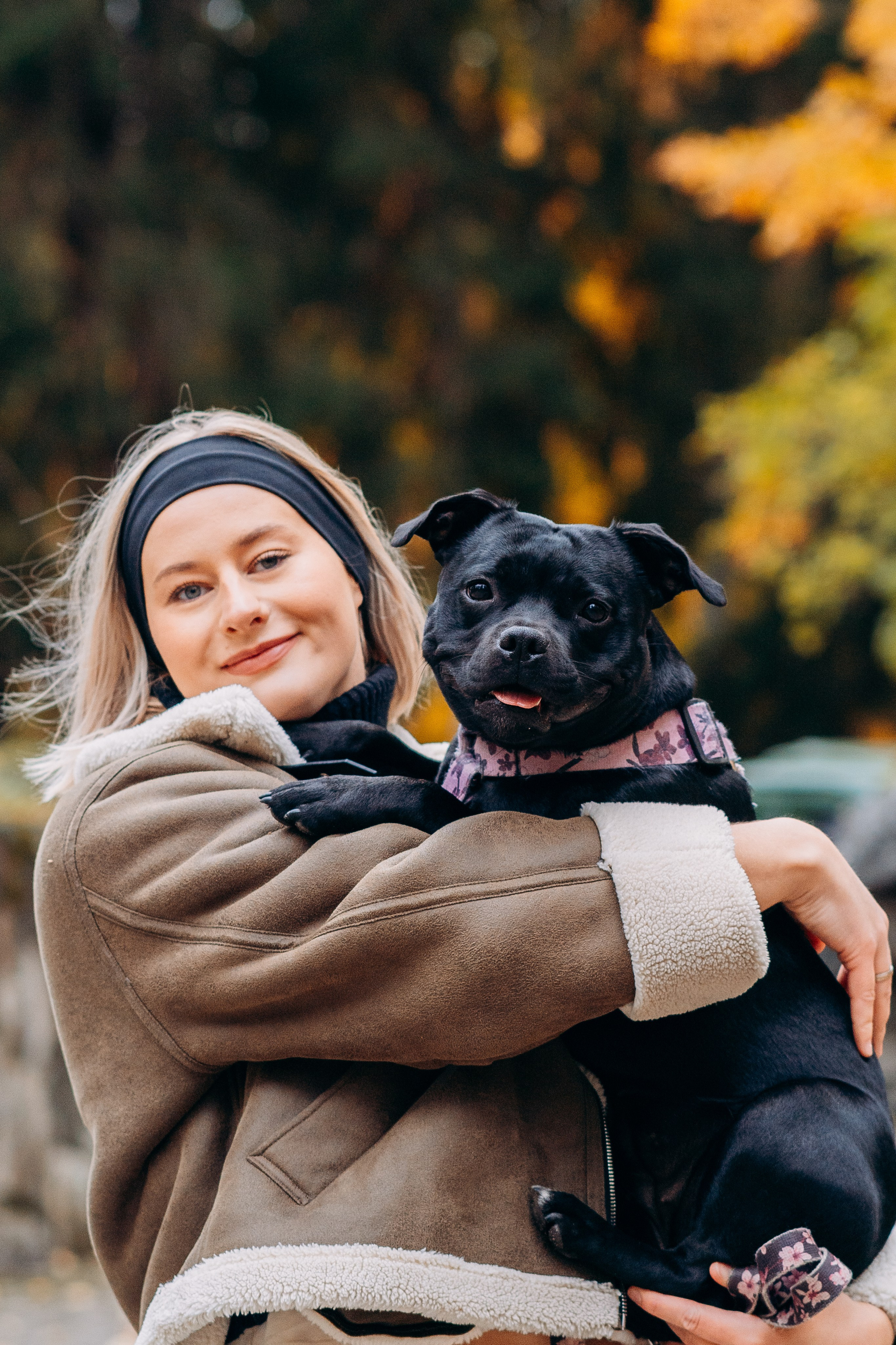 Staffordshire Bull Terriers Meetup. Kat Laisaar — Pet photographer in Tallinn