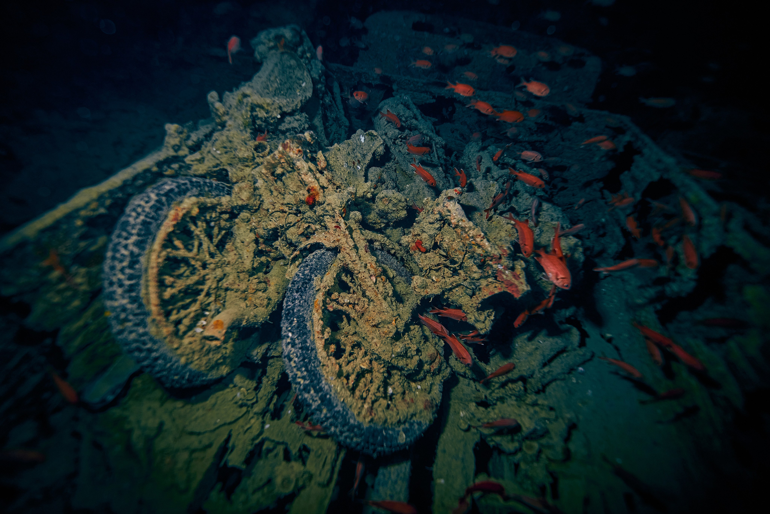 Underwater photographer Andriej Szypilow - photos of the mysterious SS Thistlegorm - sunken ship in the red sea