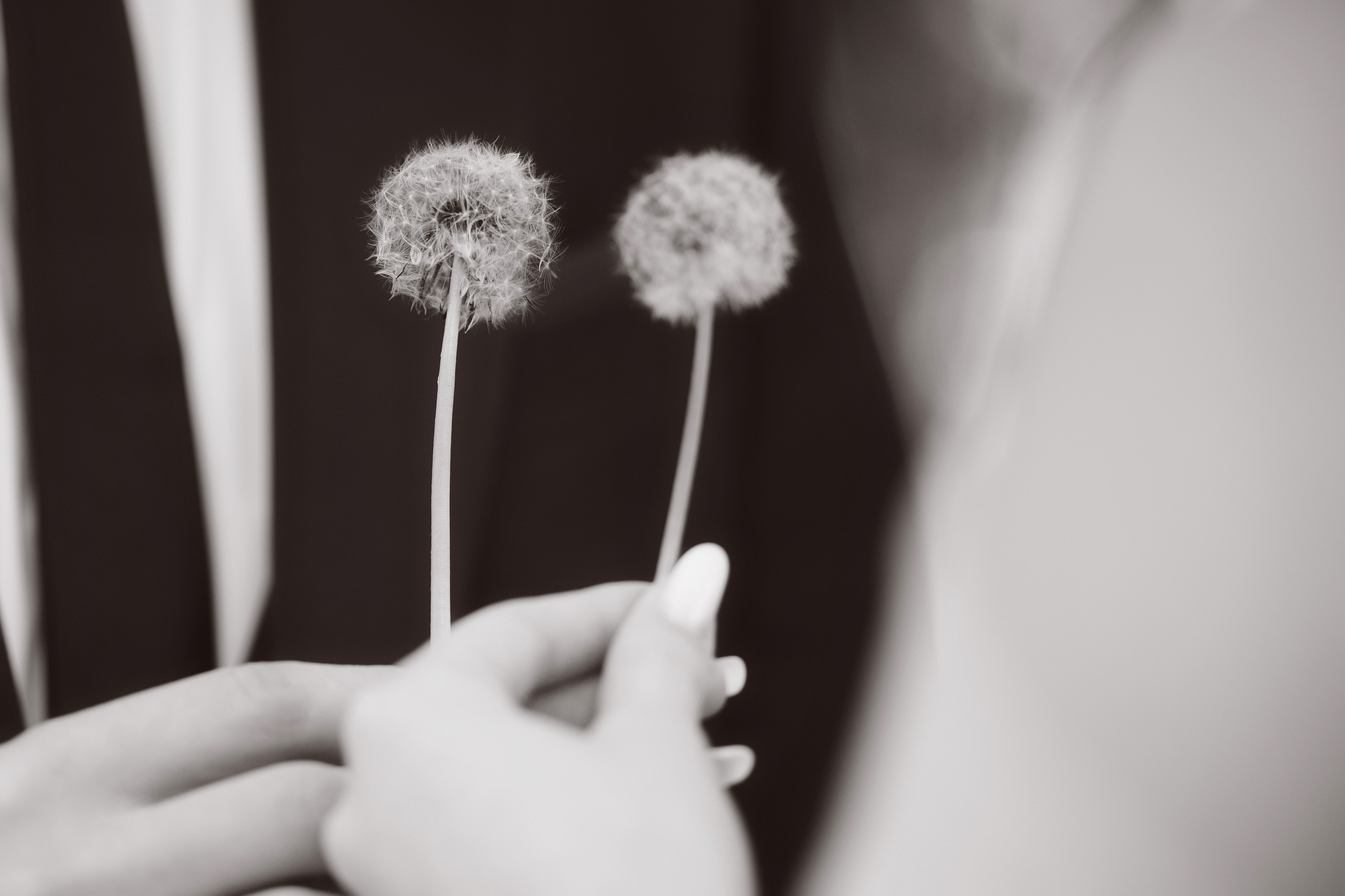 Ceremonie Civila Andreea si Claudiu. Laurentiu Stefan StoryTeller