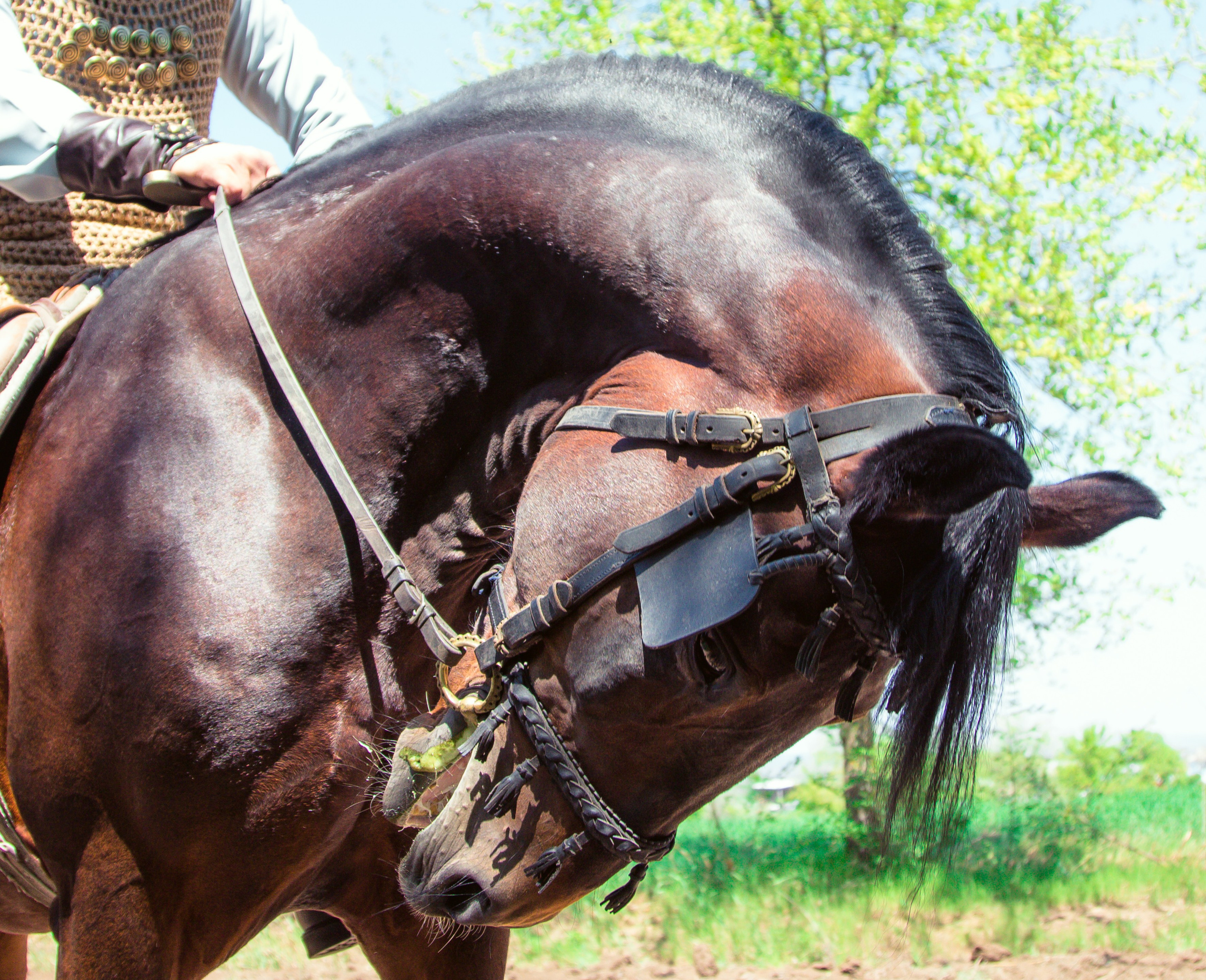 Мои работы. Фотограф в Кишиневе, Чадыр-Лунге, в Комрате Ковалева Зинаида