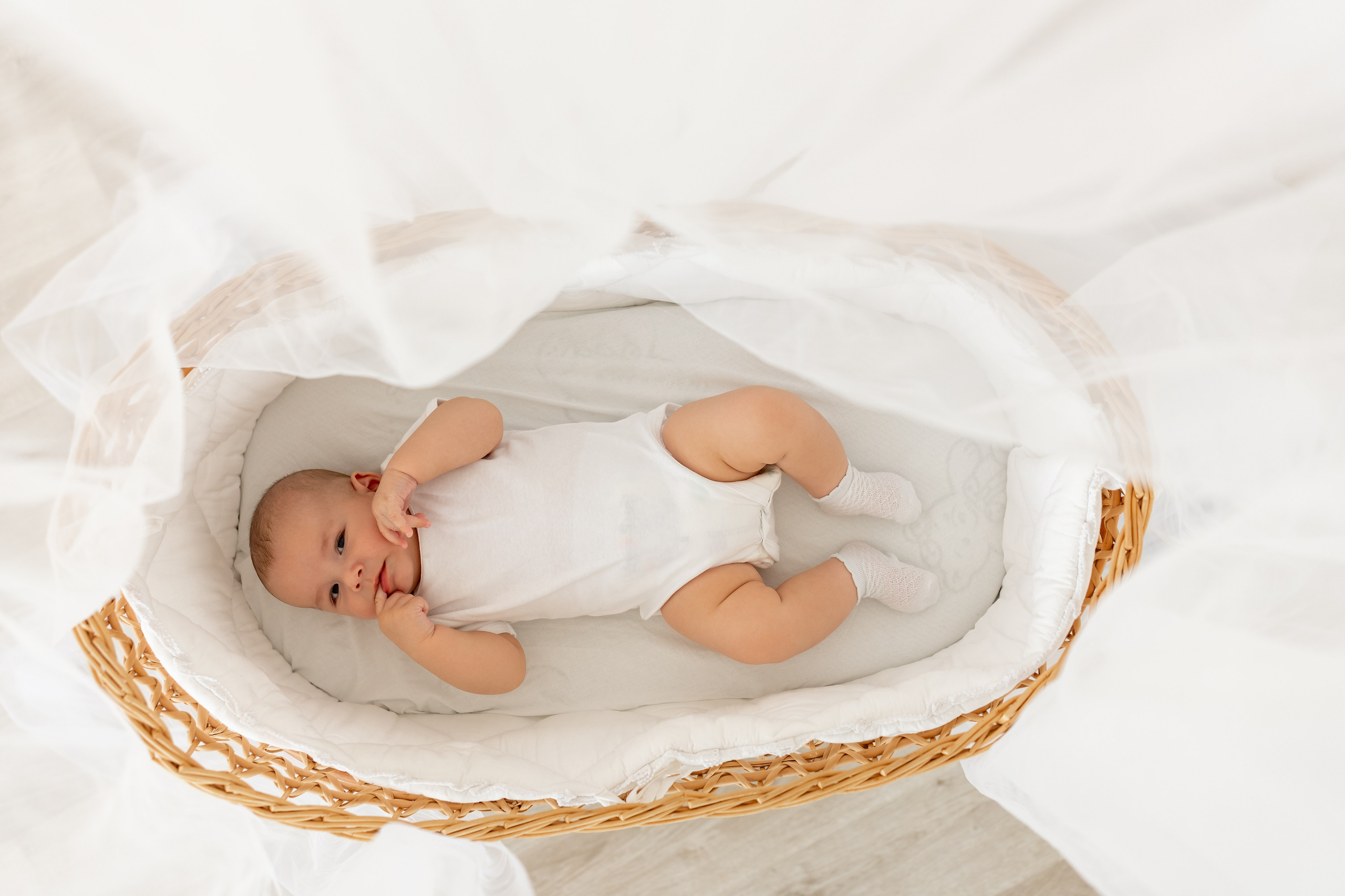 Baby 1-24 Monate. Kinder- und Familienfotograf in  Sachsen-Anhalt Svetlana Glassl