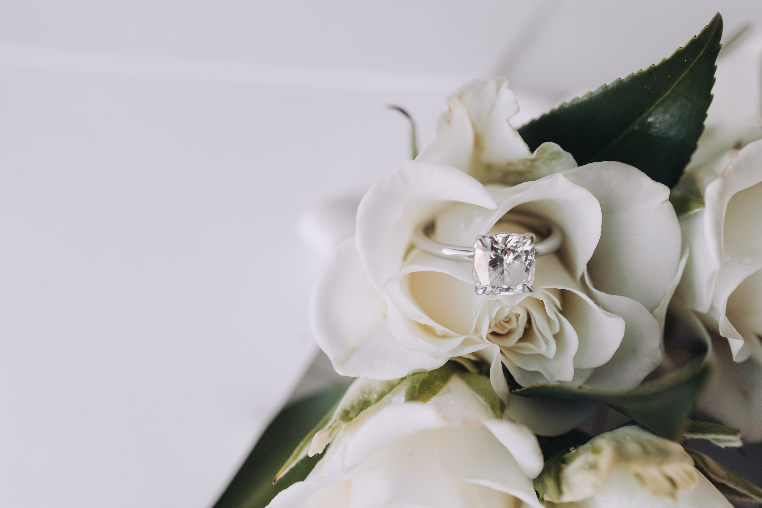 Arleta & Barry, The Skylark, NY. Wedding Photo & Video