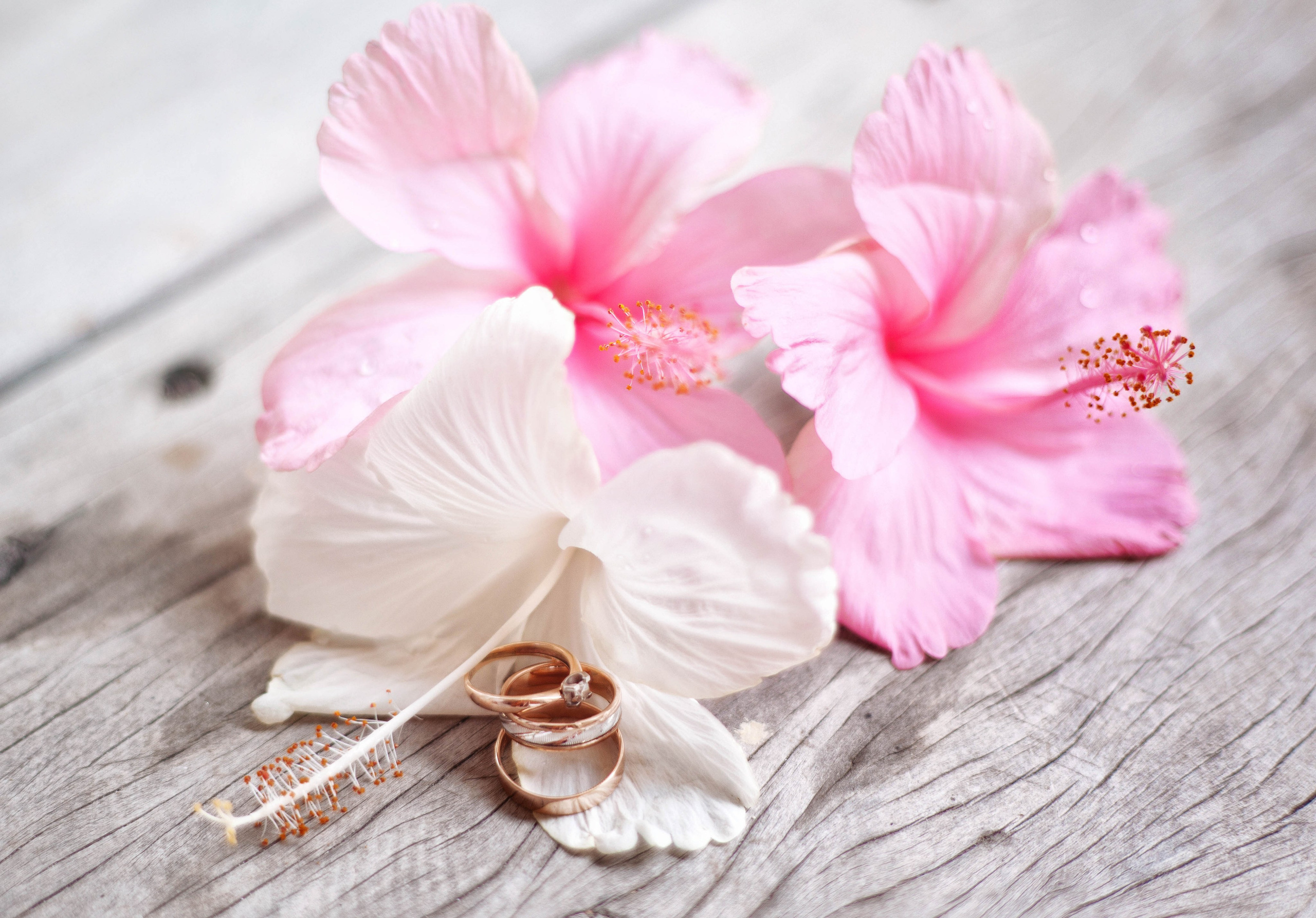 Wedding. Fotógrafo en España y Valencia