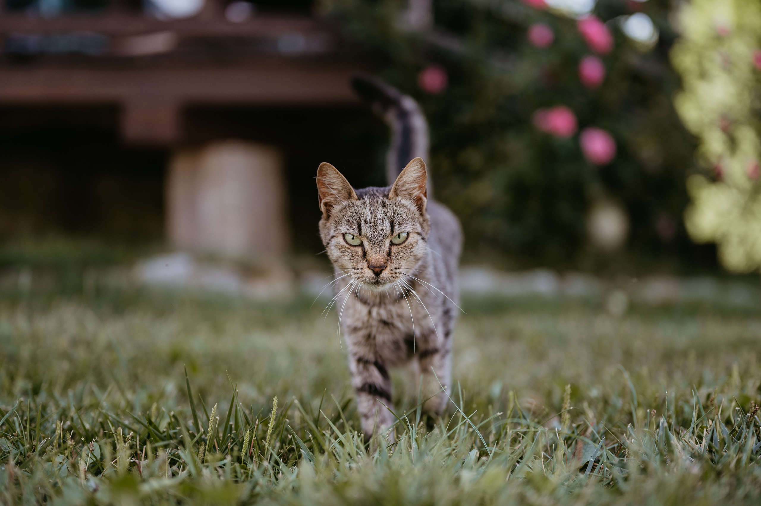 Robert si Ilinca. Valentin Melen - fotograf de nunta 🤍