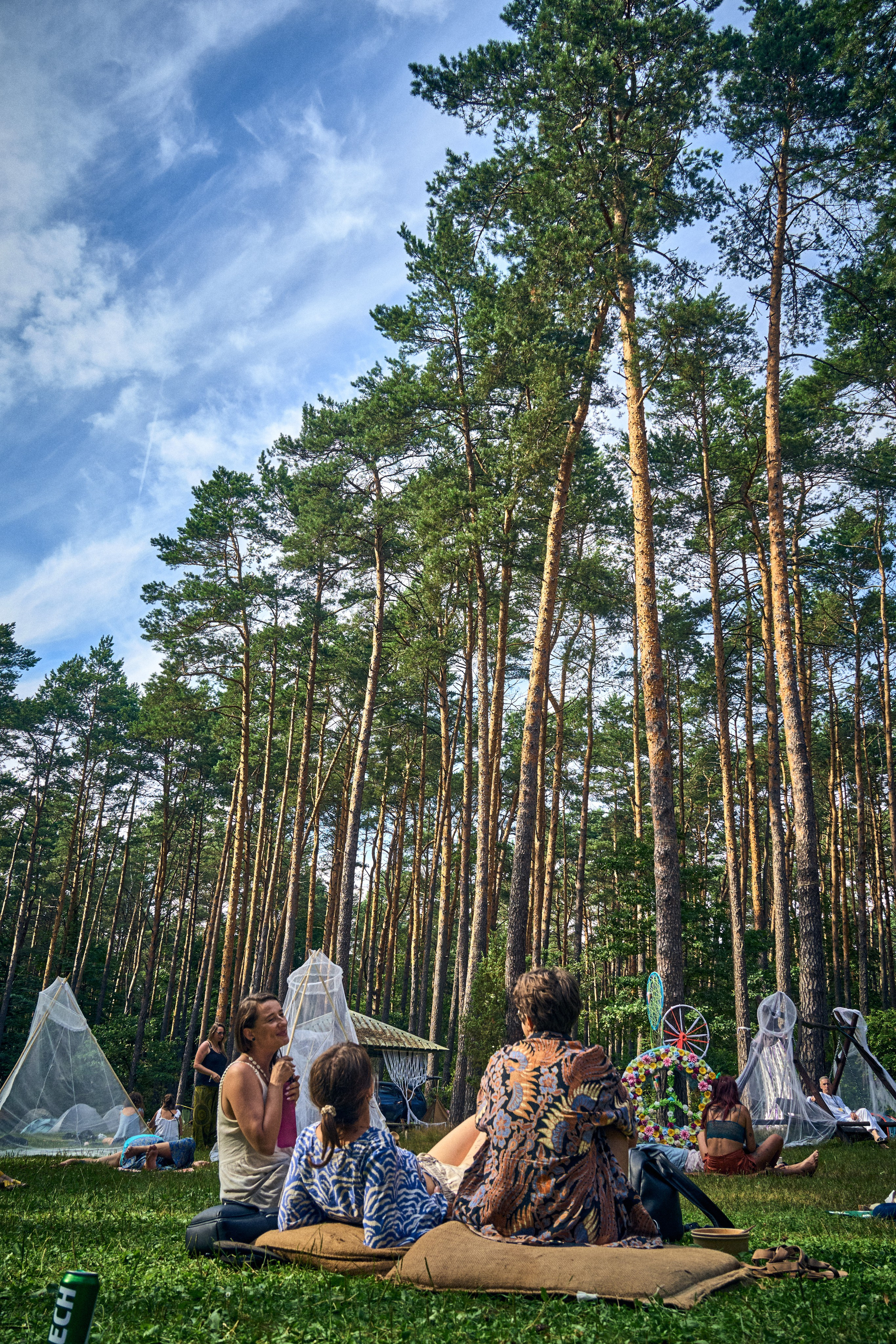 Organic Festival 2024. Андрей Шипилов — Фотография & Видеография