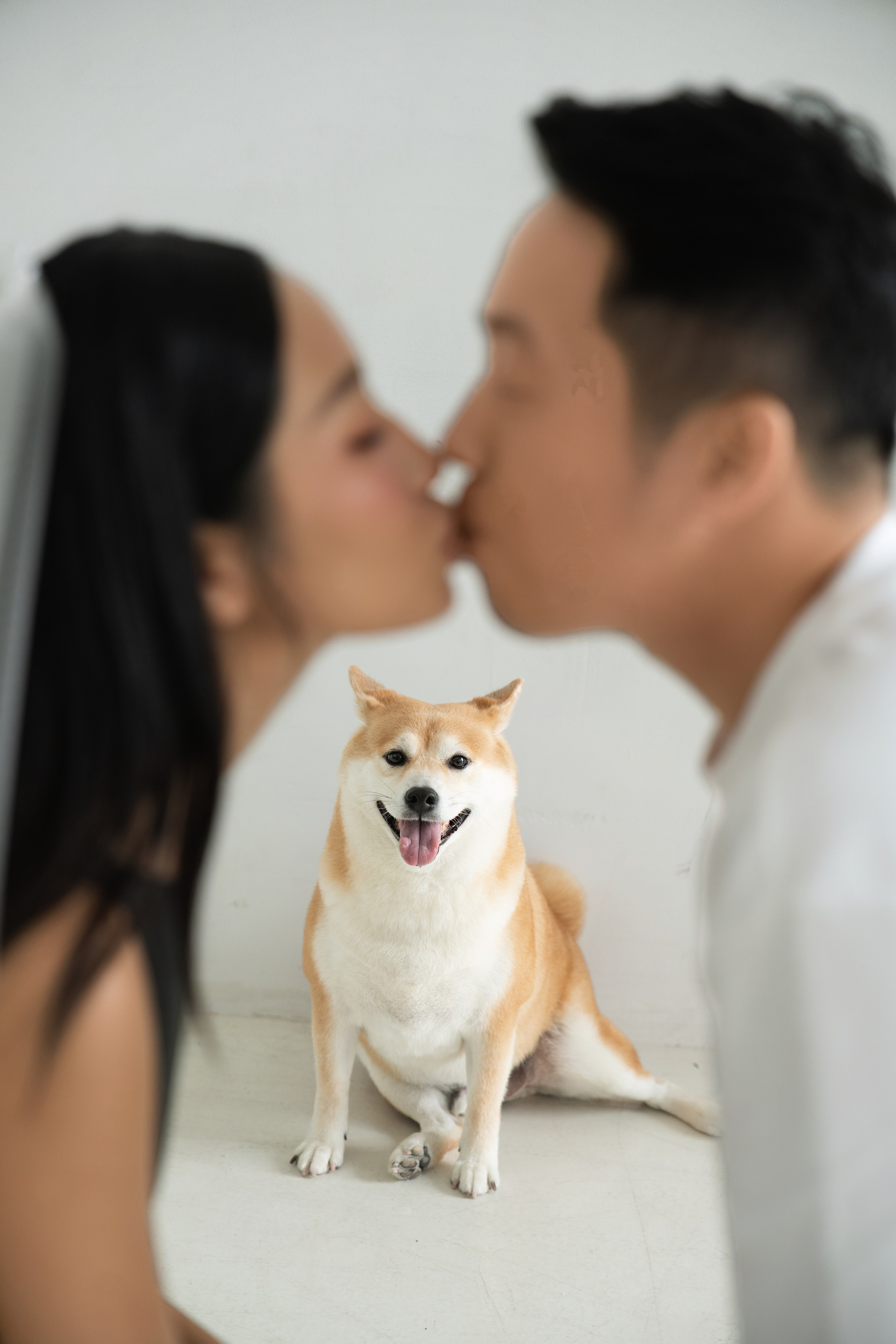 D & K. TheLoveMuseum