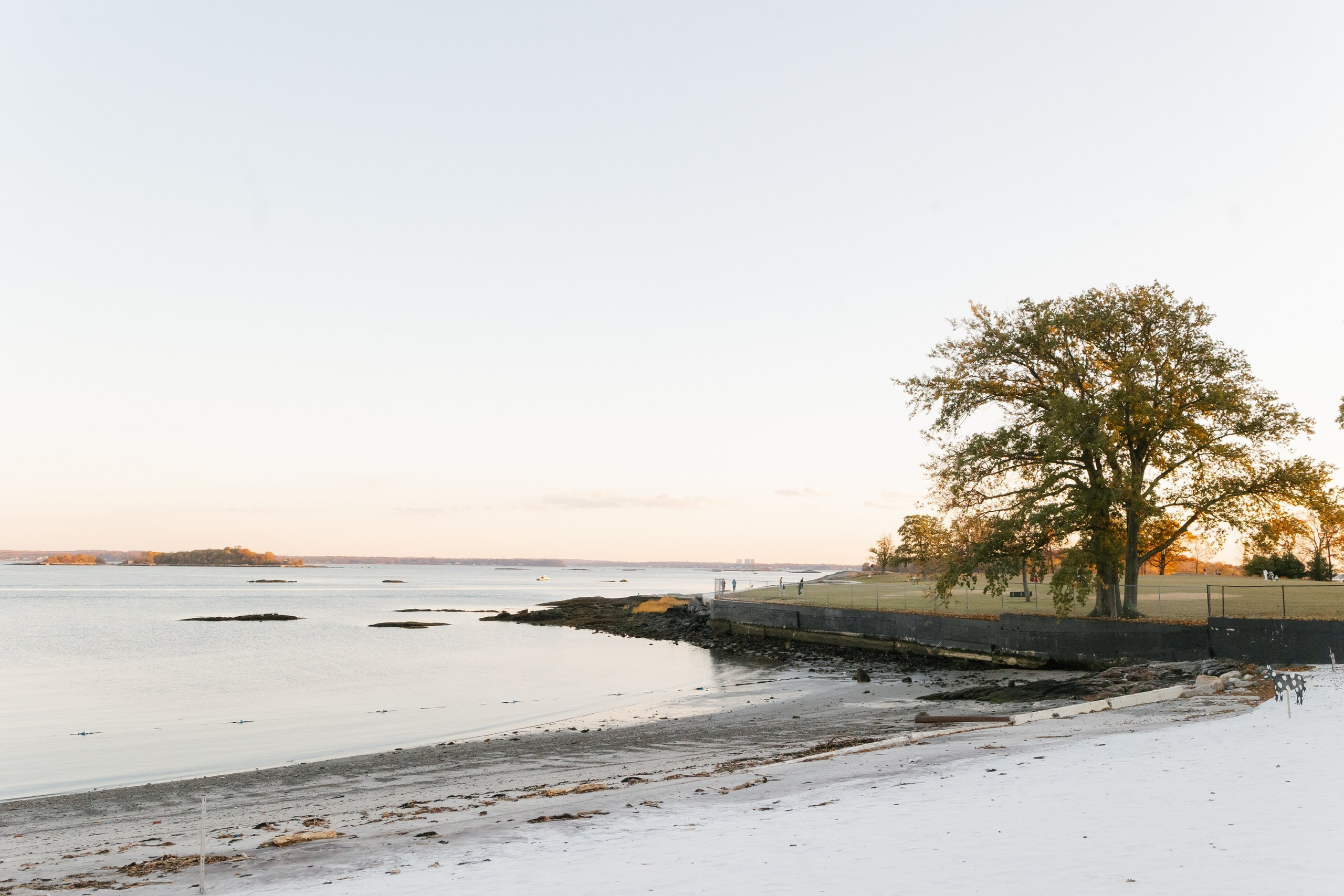 Lauren & Kory, New Rochelle, NY. Wedding Photo & Video