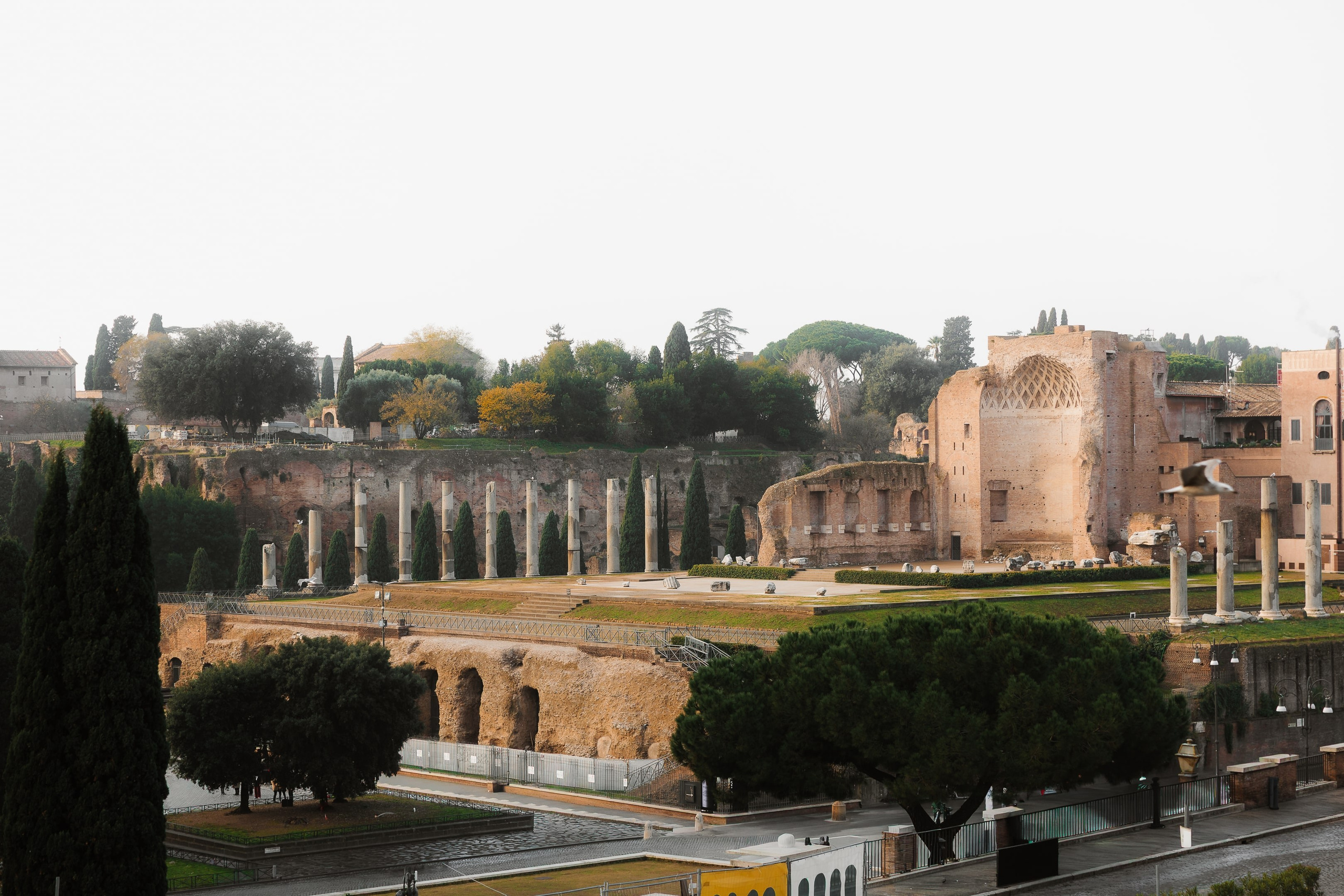 Ioana & Marian |Rome