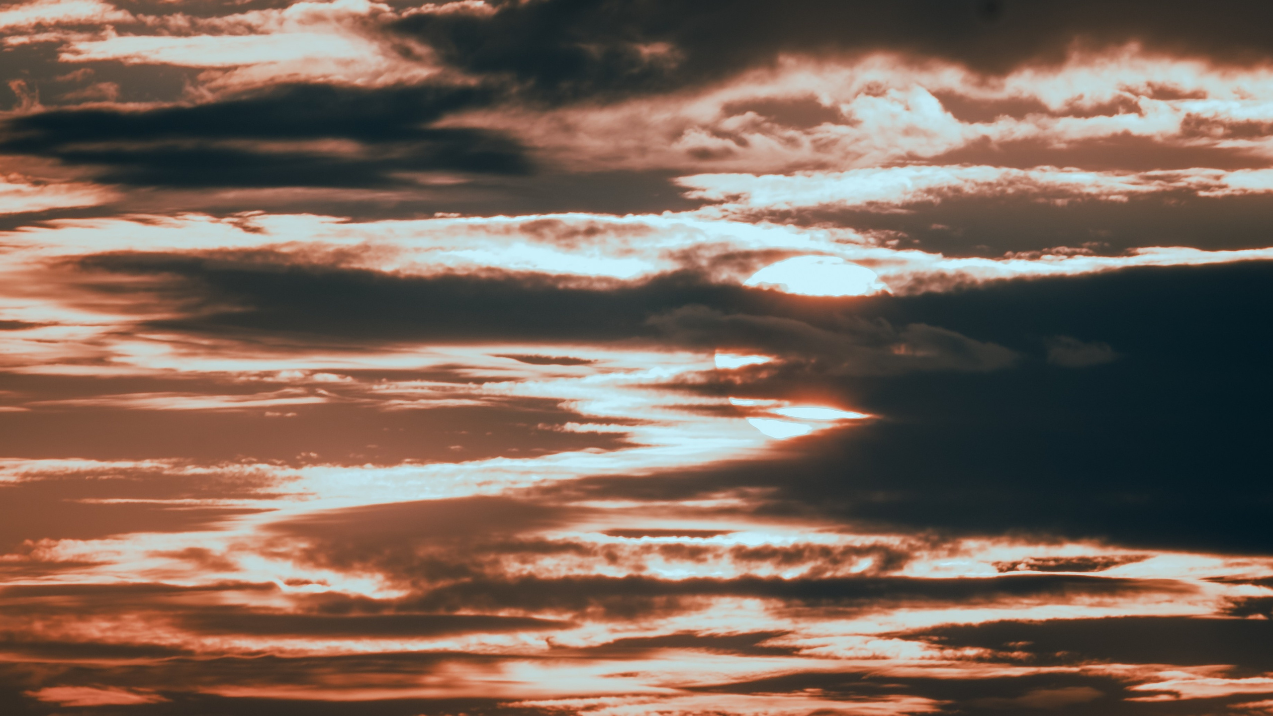 Landscape. Portrait and Street photographer in Vilnius Edgar Shaipunas