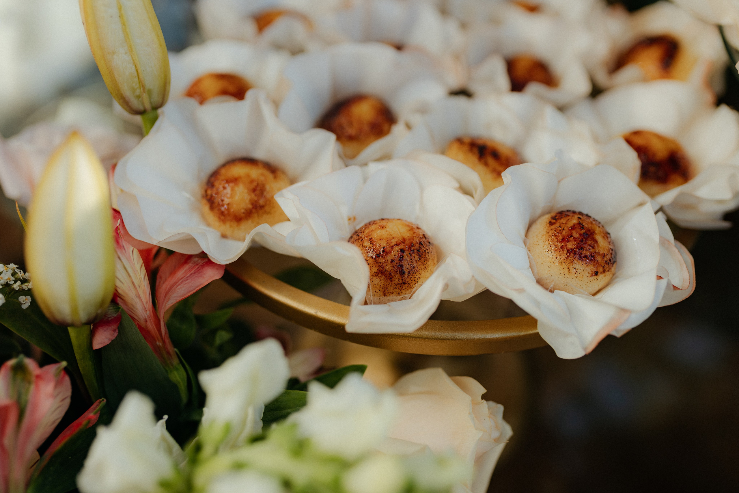 Jessica e Anna Luiza (matrimonio). Principal