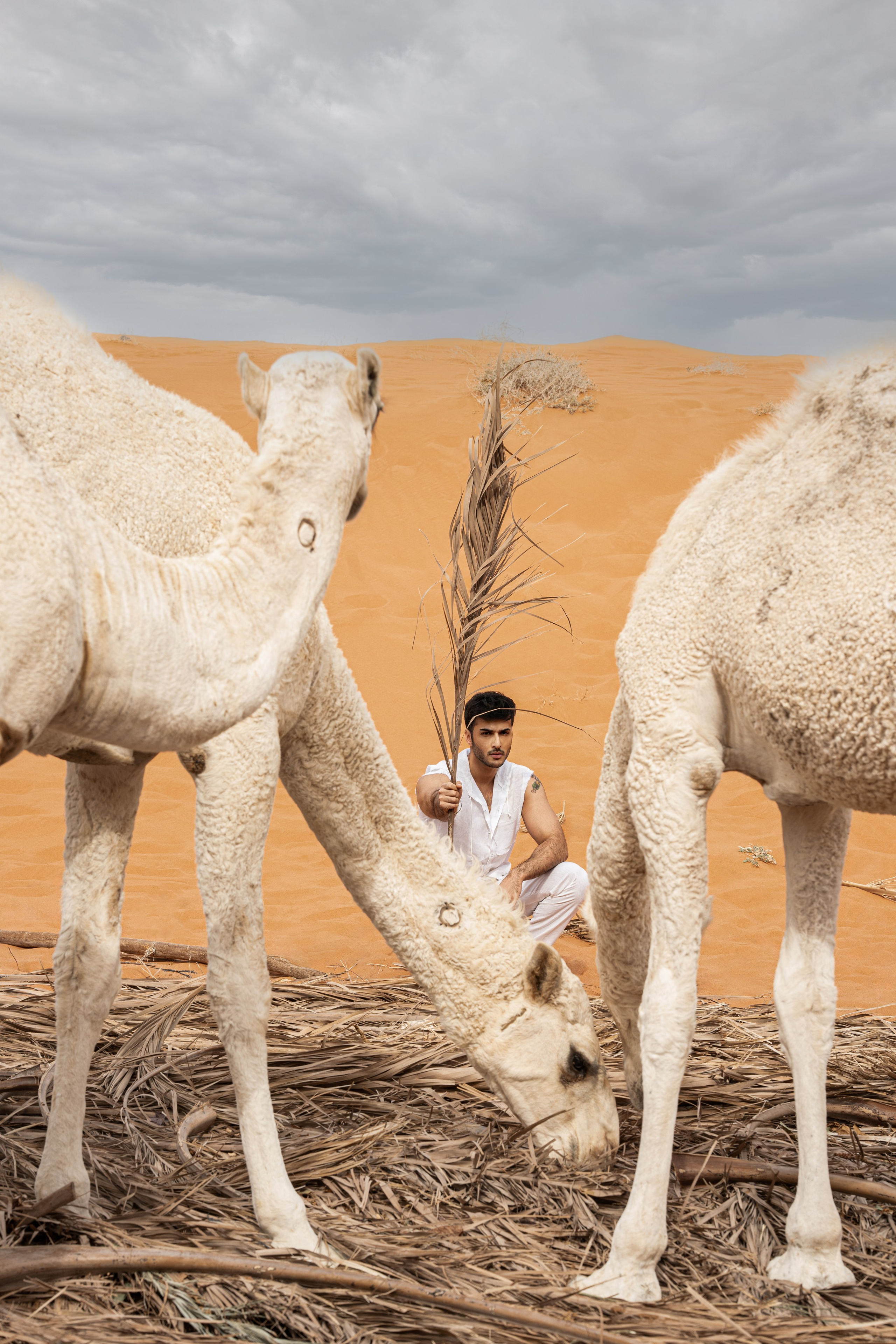 Men. Portrait, Lifestyle and Lovestory photographer in Riyadh