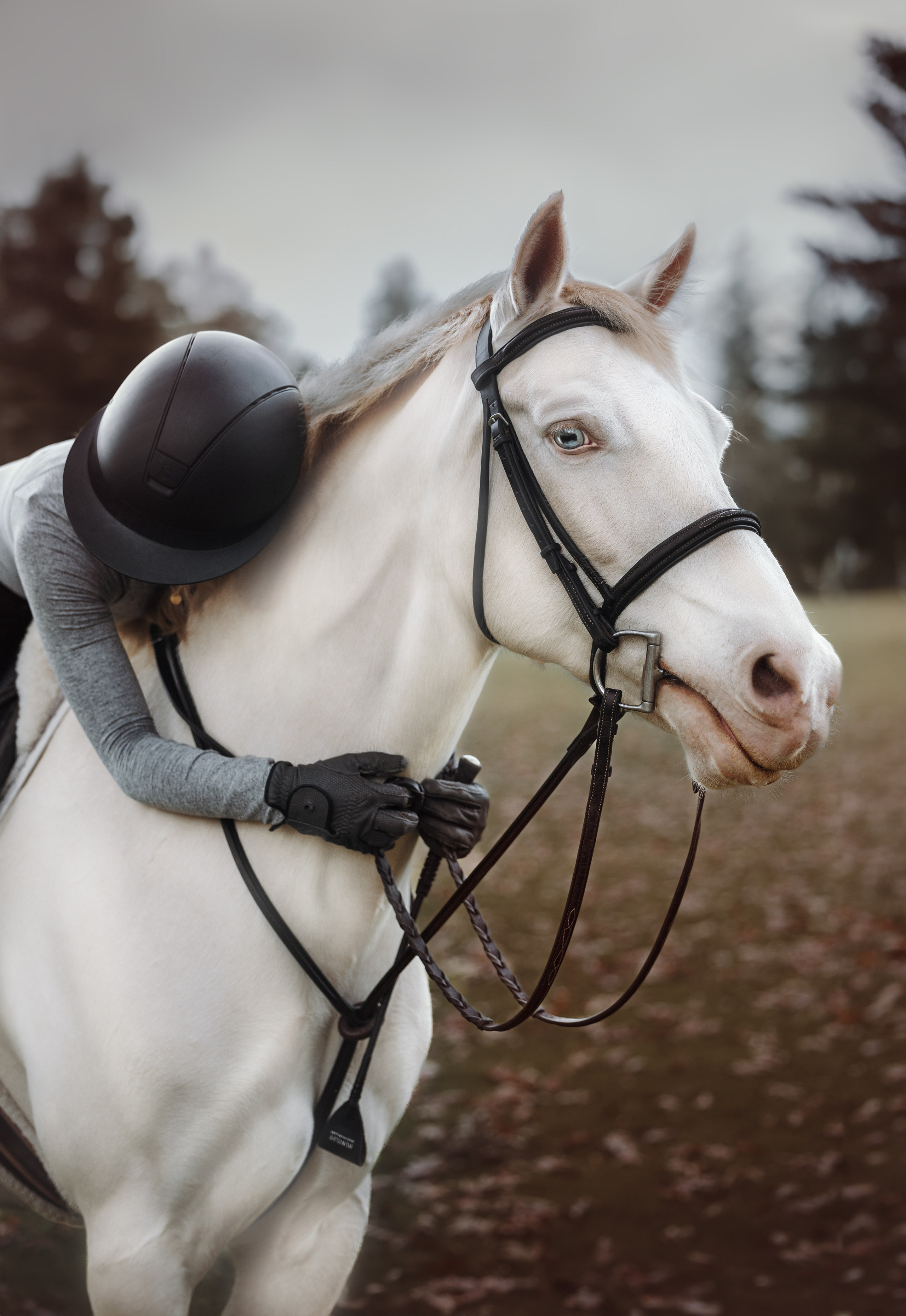 Mel & Christina. Pet Photographer Viktoriya Aleshenko