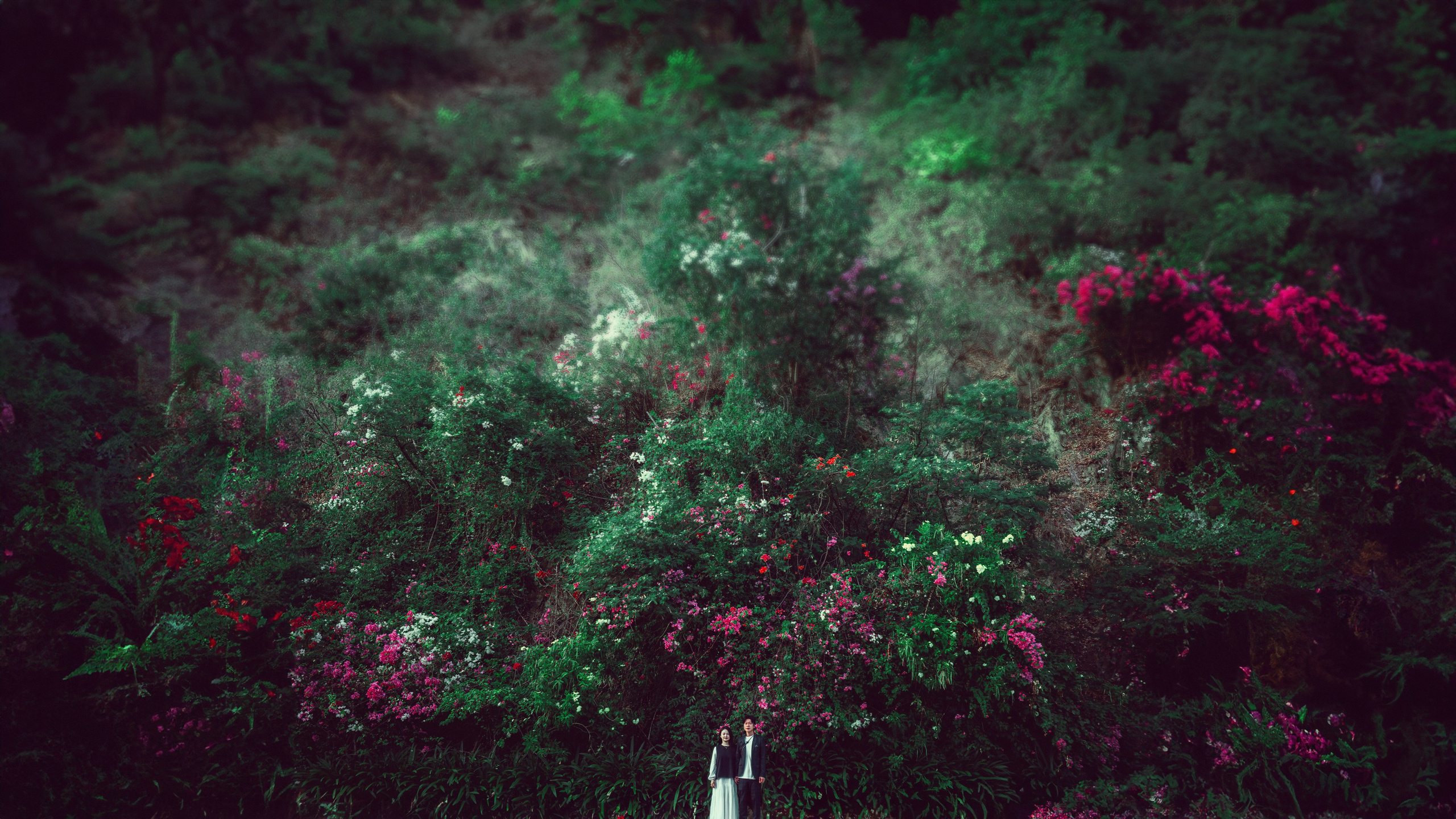 Wedding. Photographer in Nha Trang — Dani Prokopenko