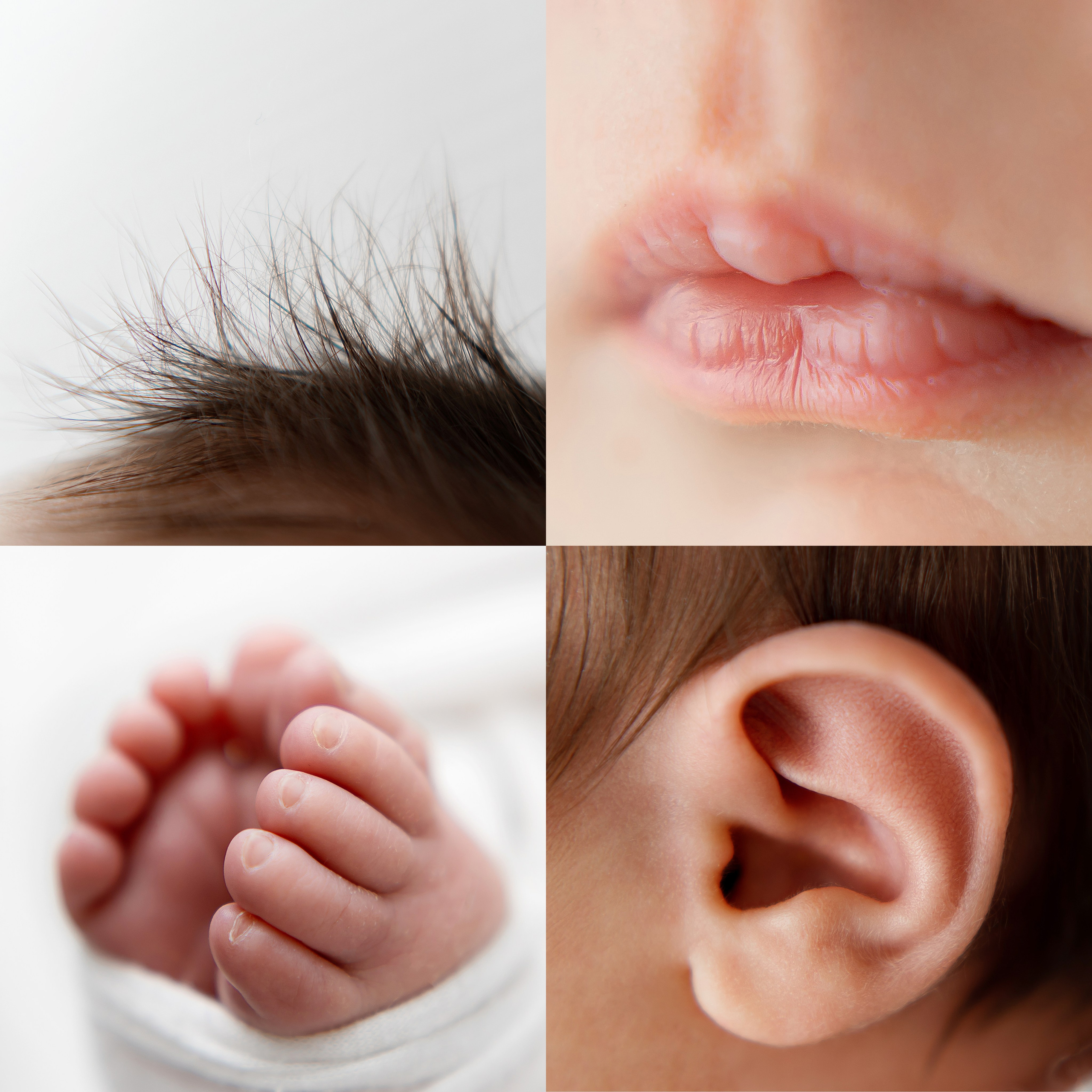 Fotografisanje novorođenčadi, beba, fotograf novorođenčeta u Beogradu