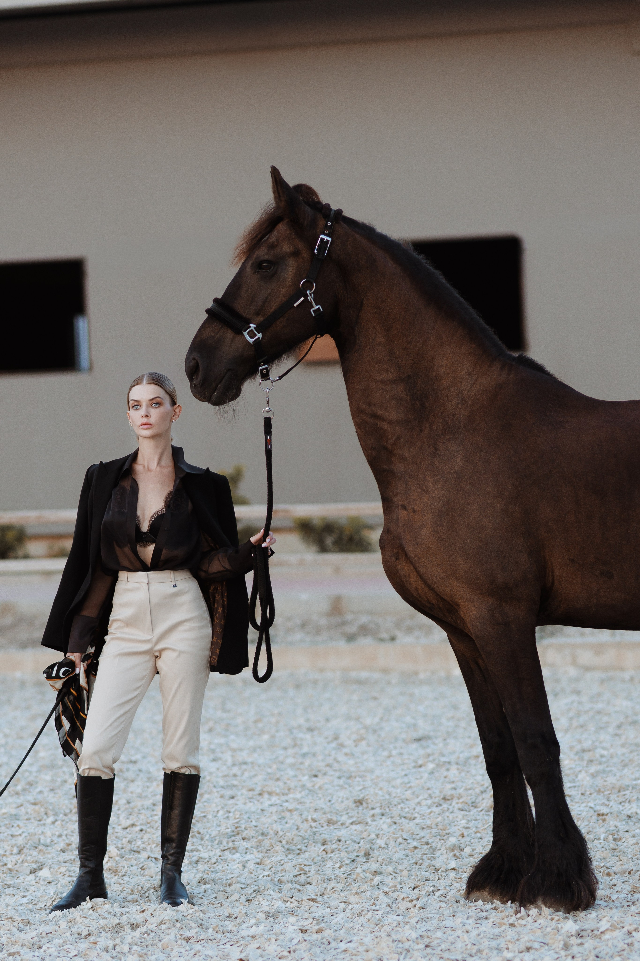 Фотосессия в Турции. Фотограф в Алании. Фотограф Алания. Фотограф Белек. Фотограф Анталия. Фотограф Кемер. Фотосессия с лошадью. Съемка с лошадью. Анталия.  Фото с лошадью. Идеи фото . Идеи фото с лошадью. фотосессия в турции белек. фотосессия с лошадью на море. фотосессия в белеке. фотосессия цена . fotki s loshadyu. турецкая девушка на лошади. 